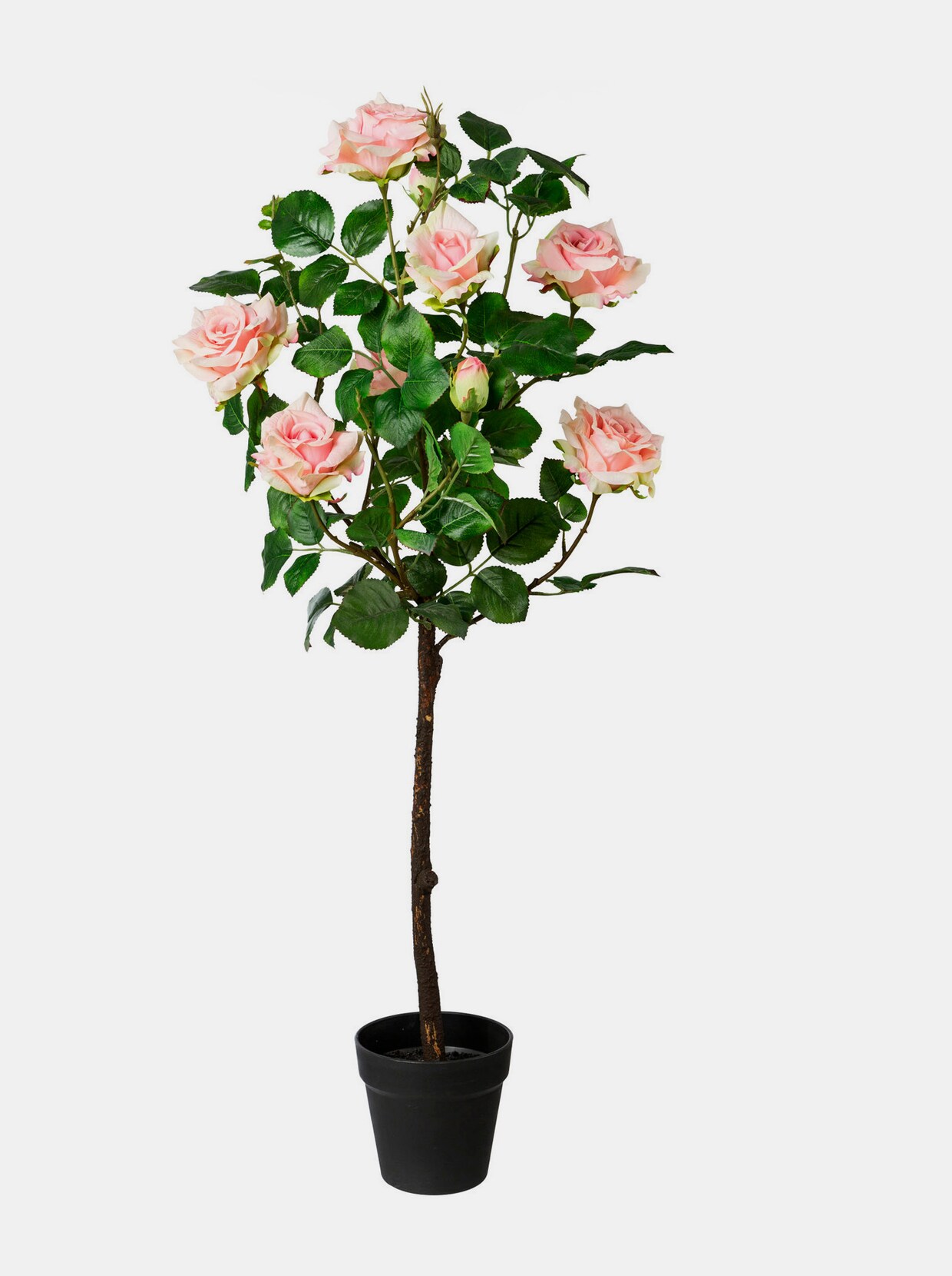 Gasper Kunstpflanze - rosa