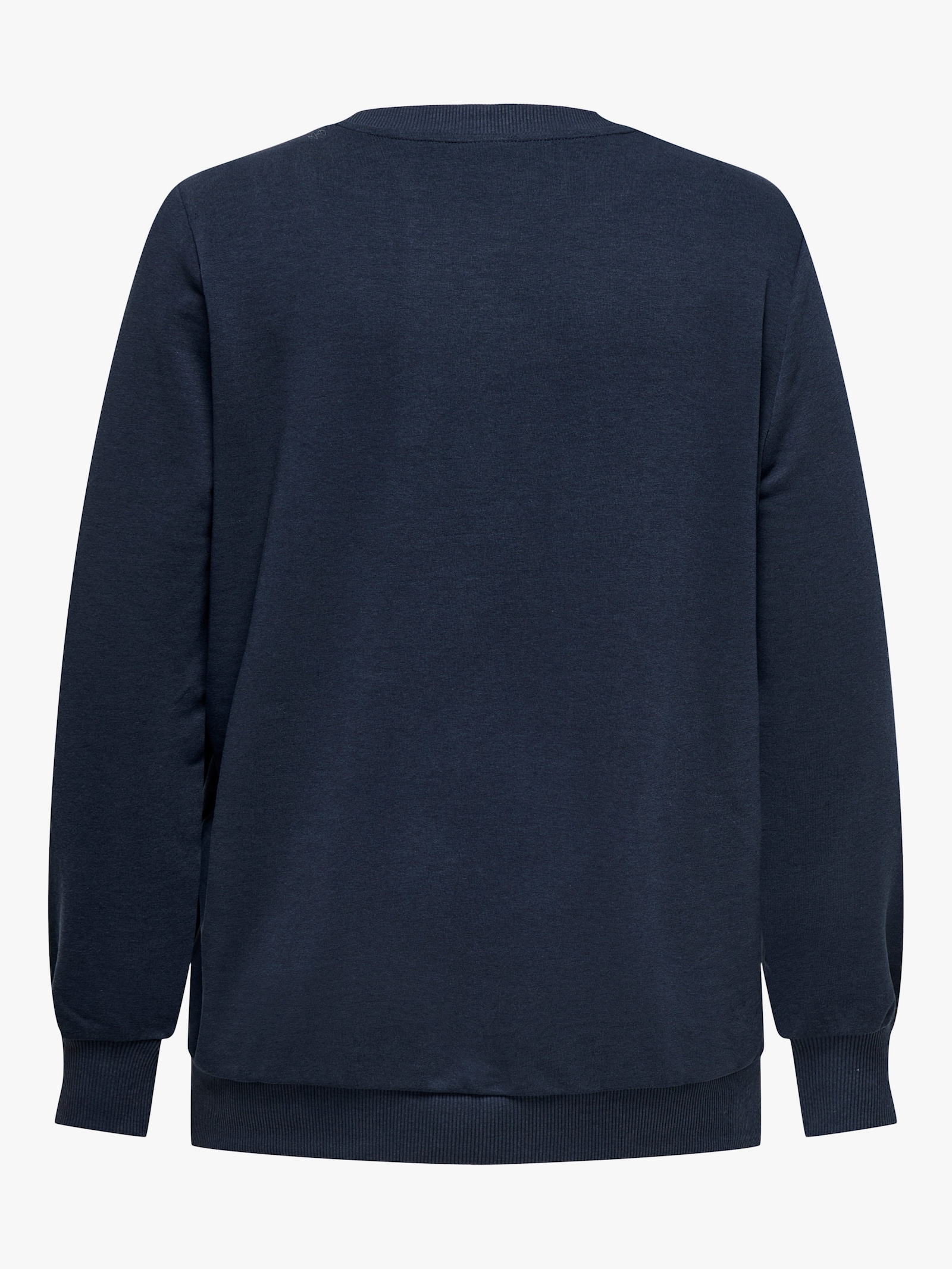 ONLY CARMAKOMA Sweatshirt - night sky print:reindeer