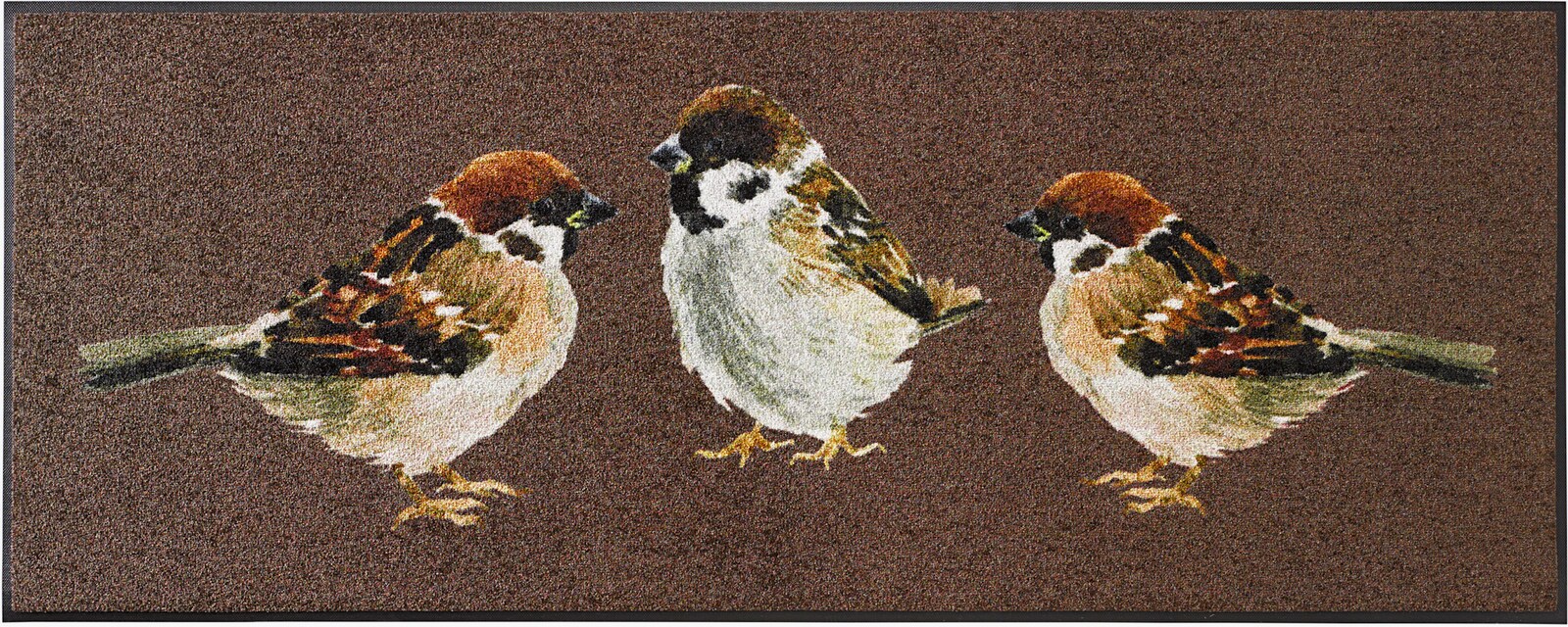 wash+dry by Kleen-Tex Fußmatte - braun