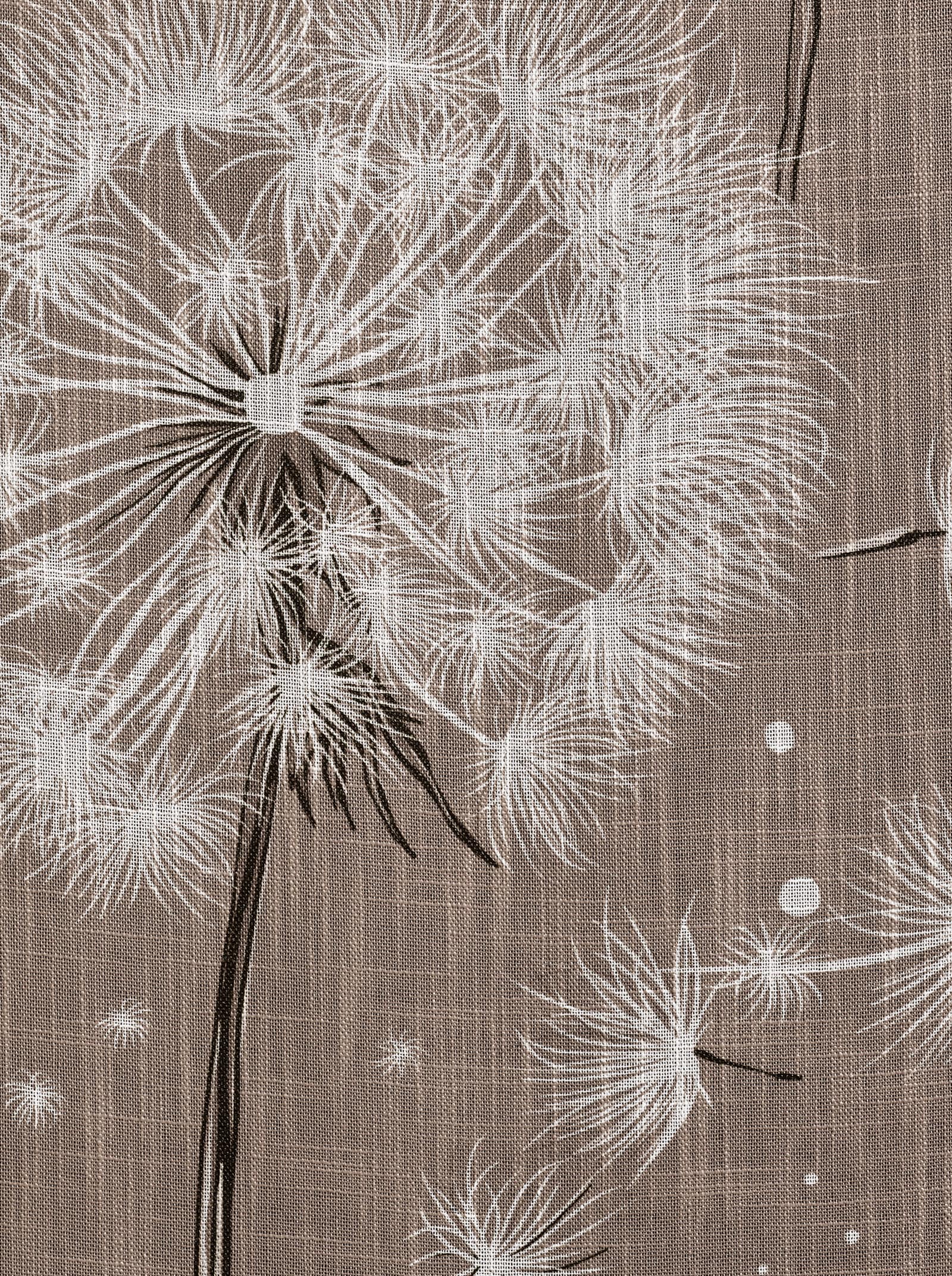 heine home Schiebevorhang - braun-weiss