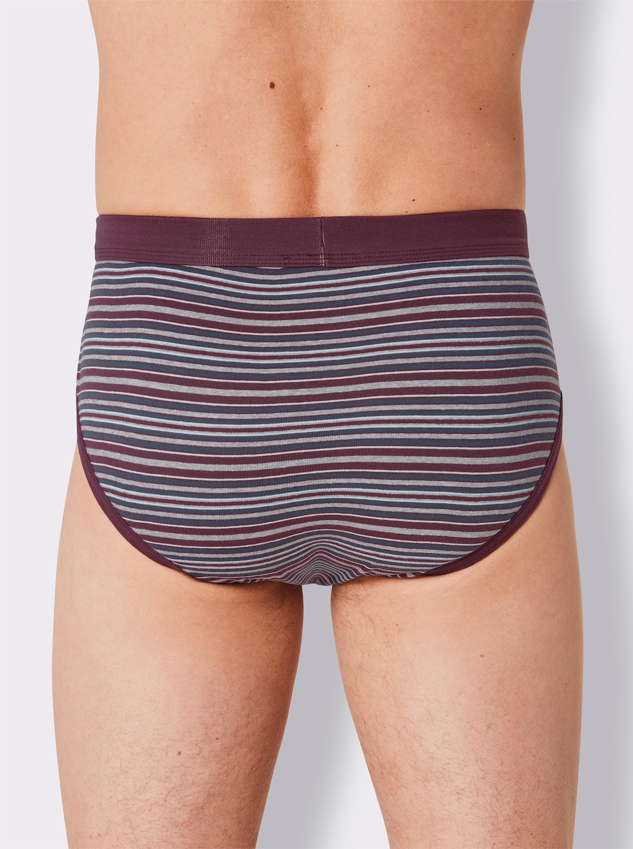 wäschepur men Slip - topas + dunkelblau + burgund