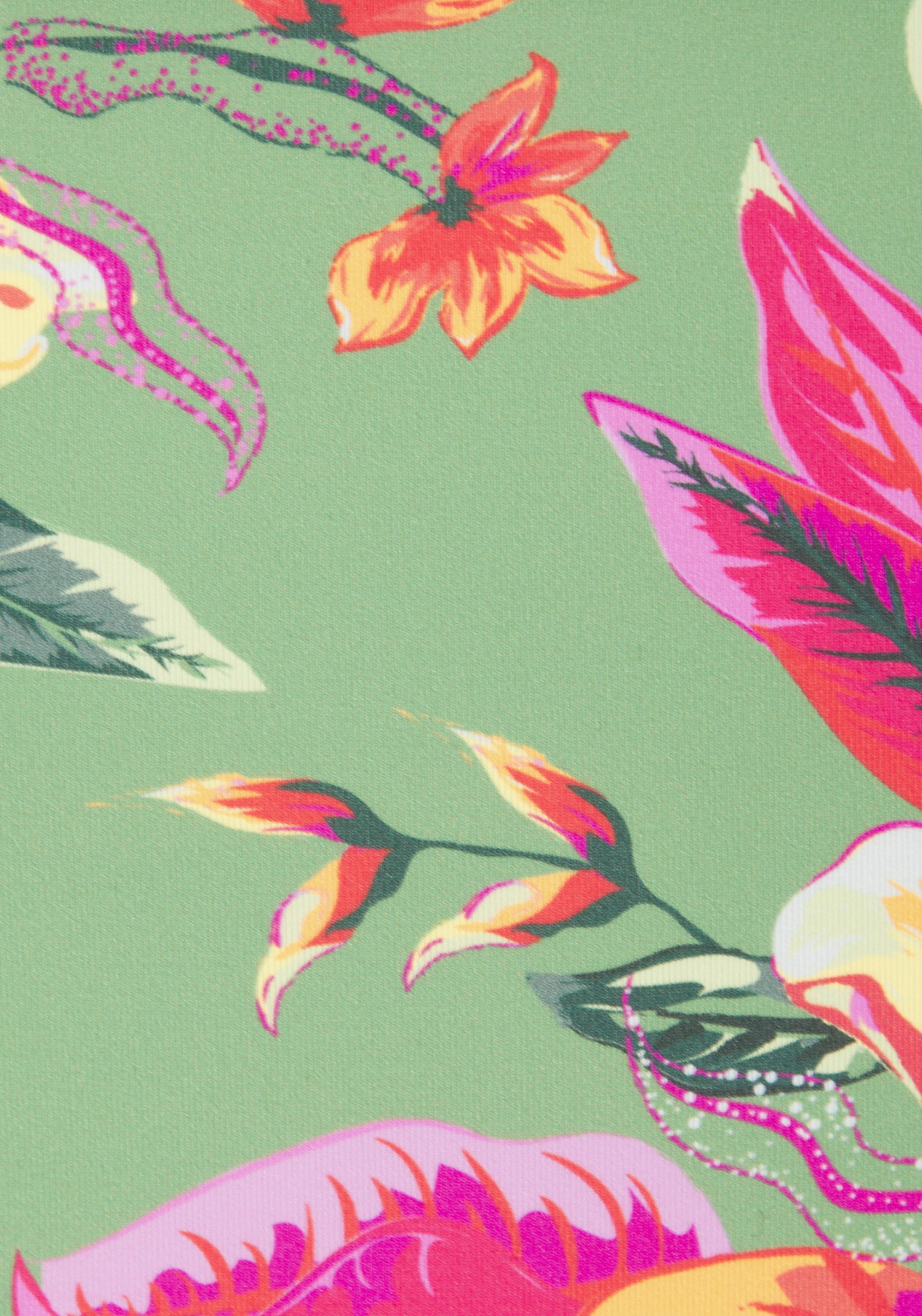 LASCANA Bikini-Hose - salbei-pink bedruckt