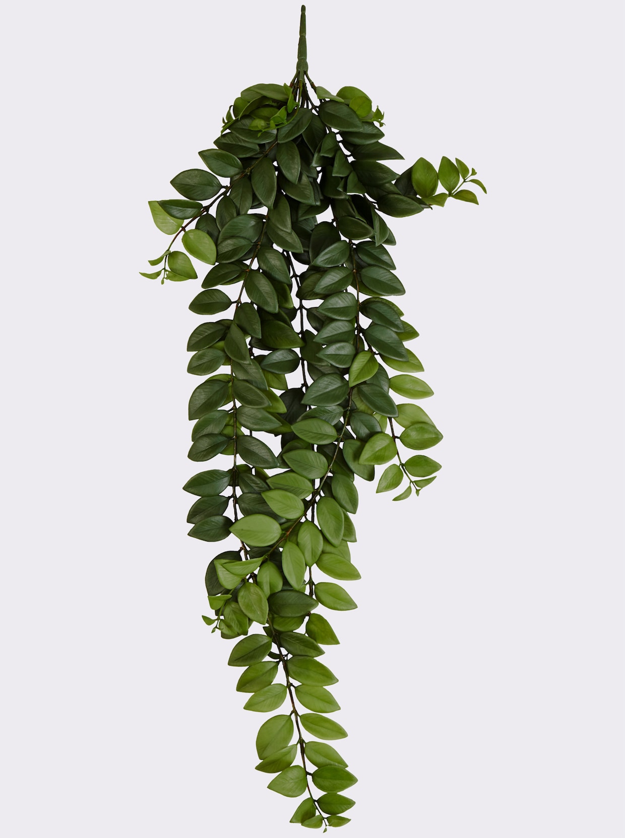 Gasper Kunstpflanze - grün