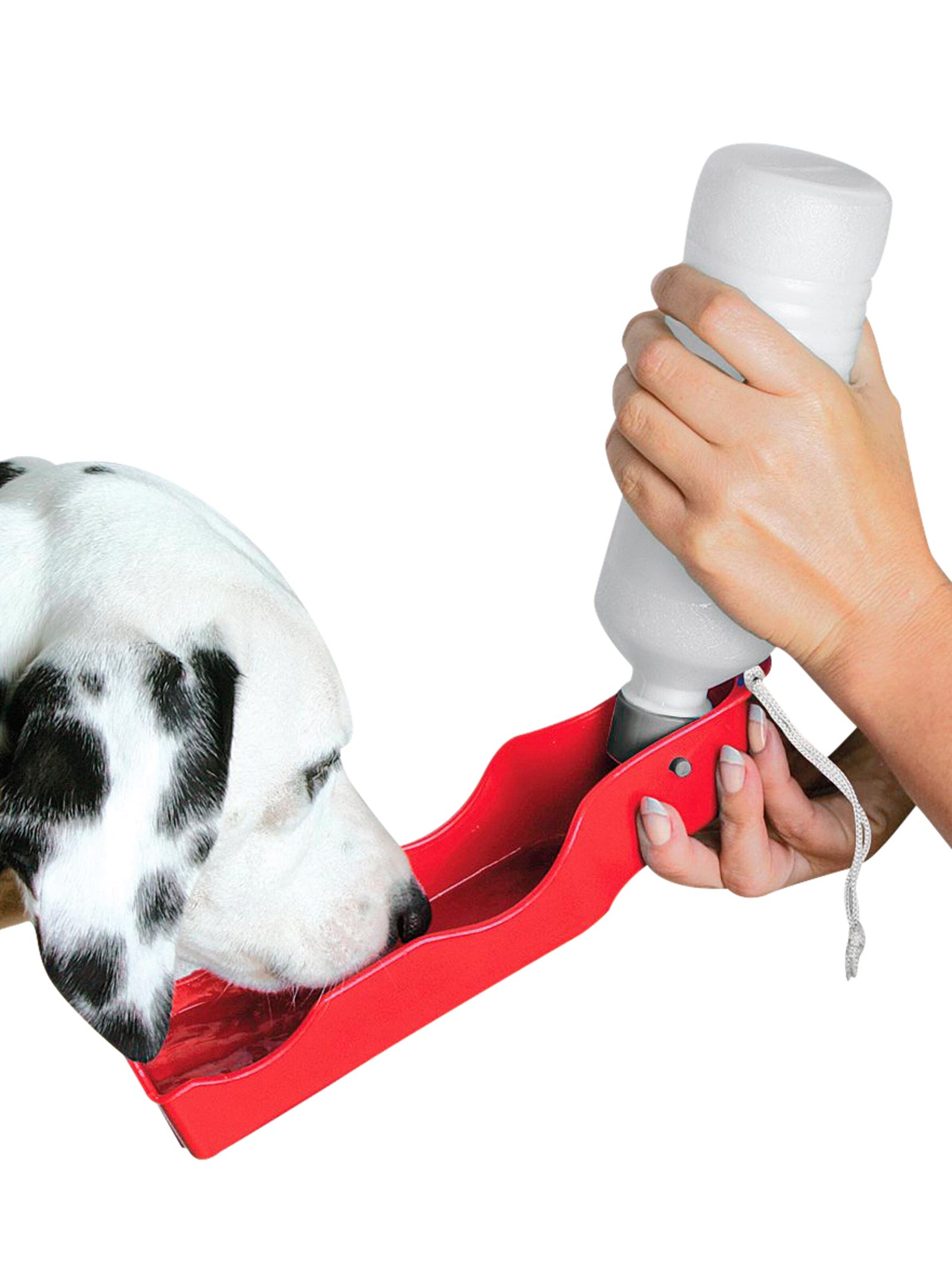 Tiertrinkflasche - rot