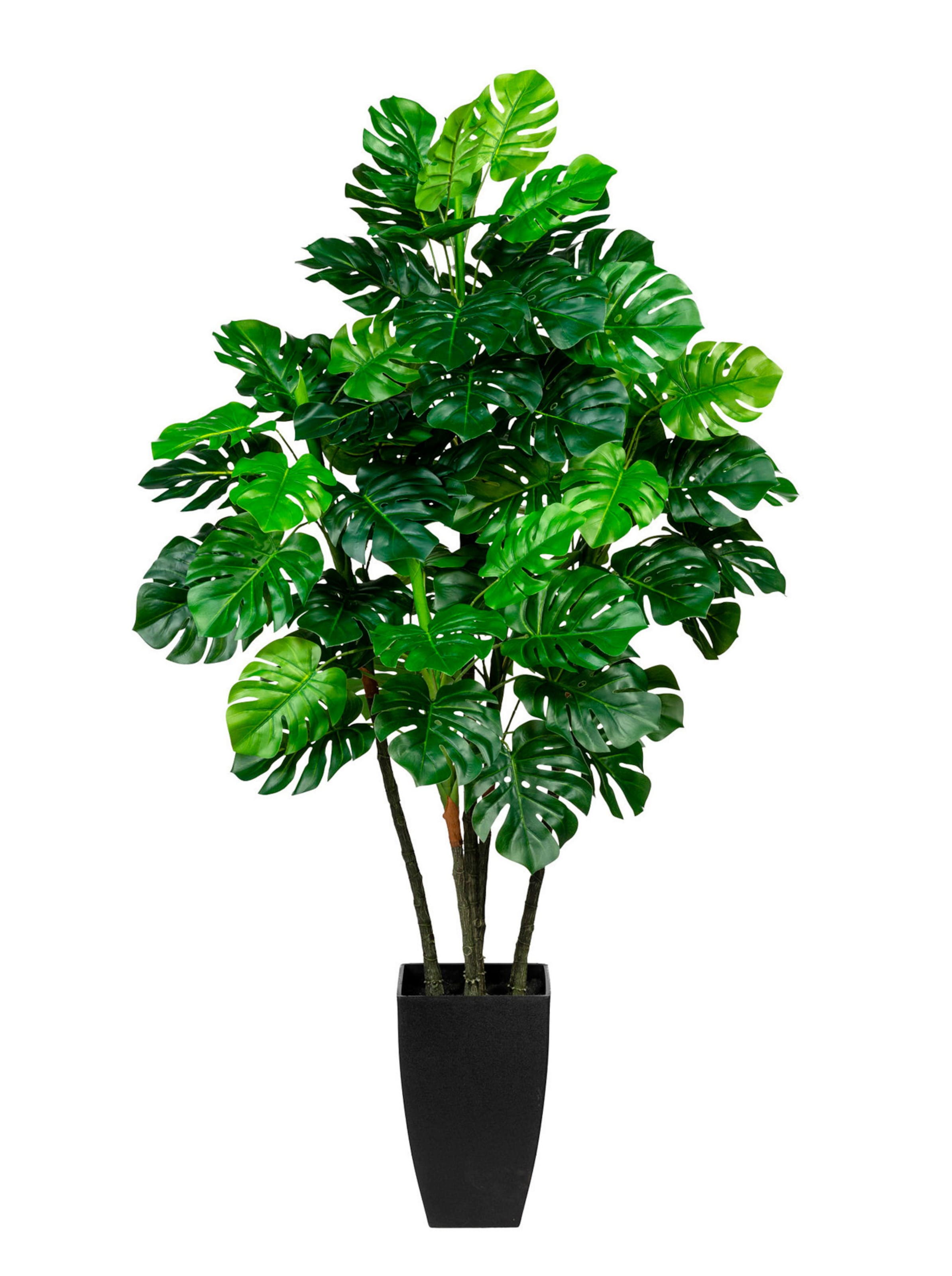 EU AU günstig Kaufen-Kunstpflanze in grün von Gasper. Kunstpflanze in grün von Gasper <![CDATA[Kunstpflanze Philodendron. Täuschend echt und garantiert pflegeleicht! Stämme und Blätter sind detailgetreu dem Original nachempfunden und kaum von diesem zu unterschei