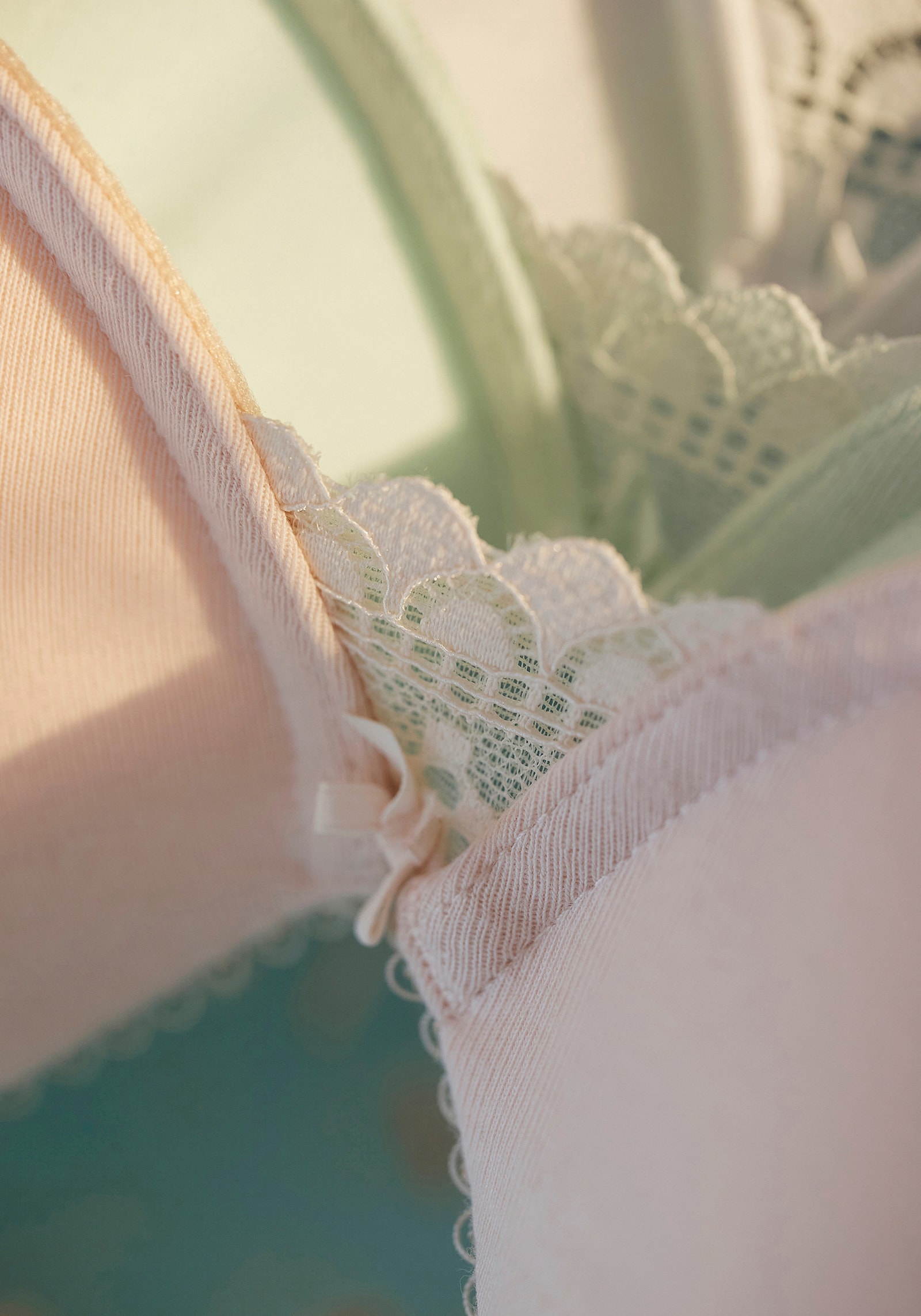 LASCANA Beha met cups - poudre