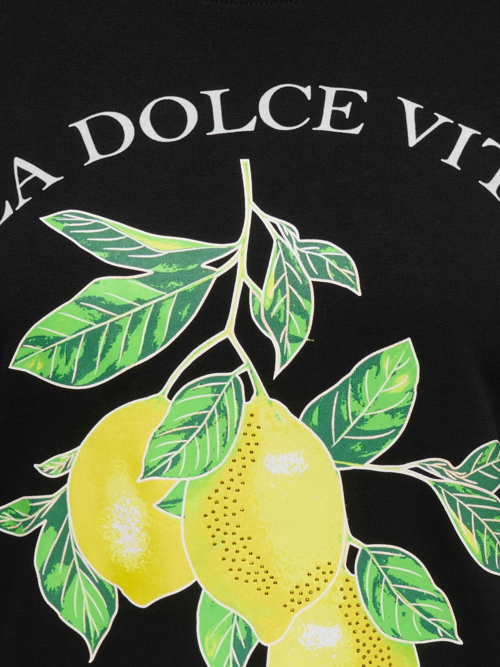 ONLY CARMAKOMA Sweatshirt - black print:la dolce vita