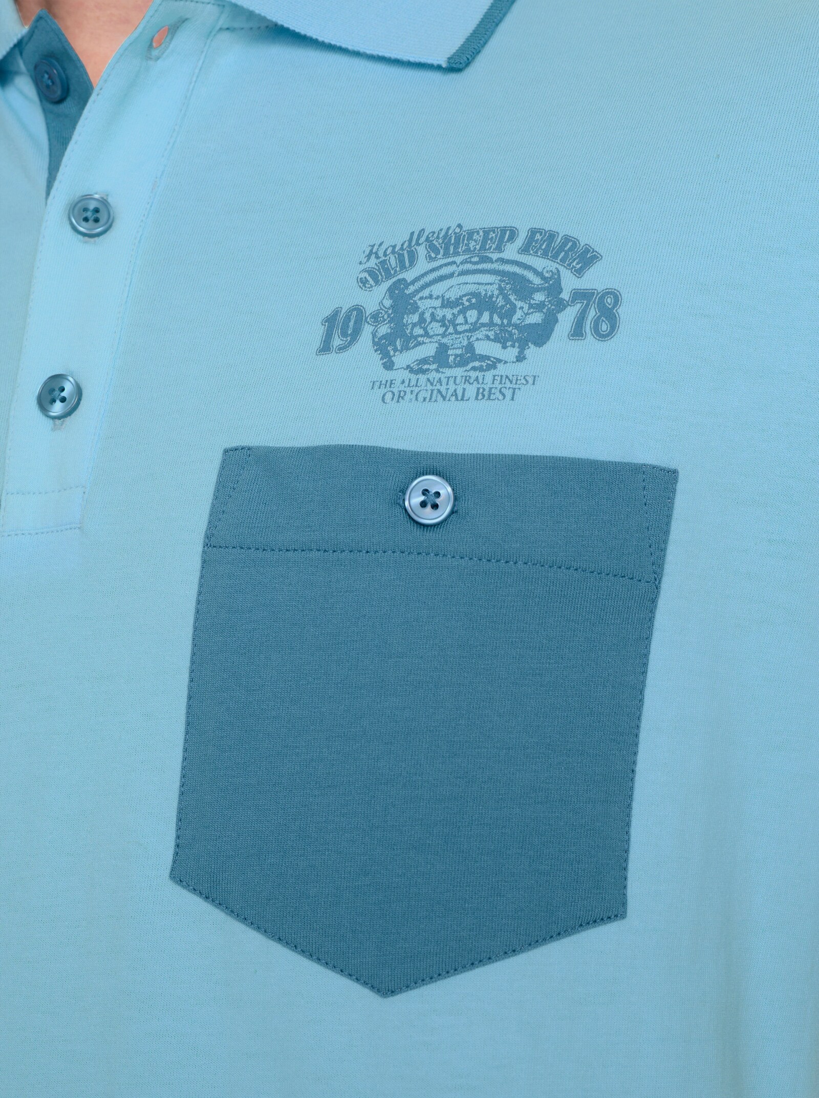 Poloshirt mit kontrastfarbigen Details - aqua