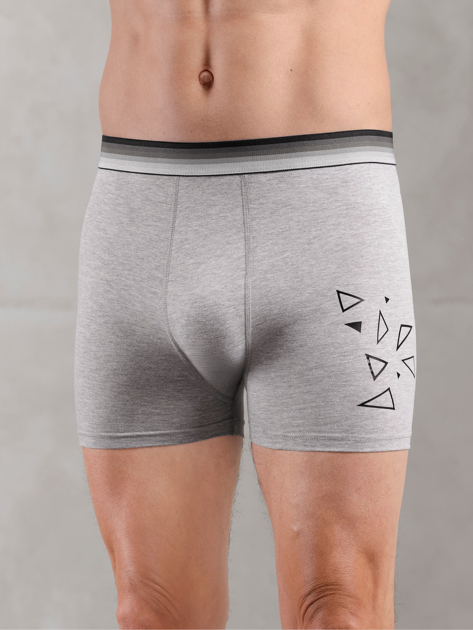 wäschepur men Pants - grau-meliert