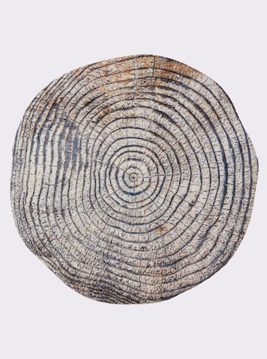 wash+dry by Kleen-Tex Fußmatte - braun