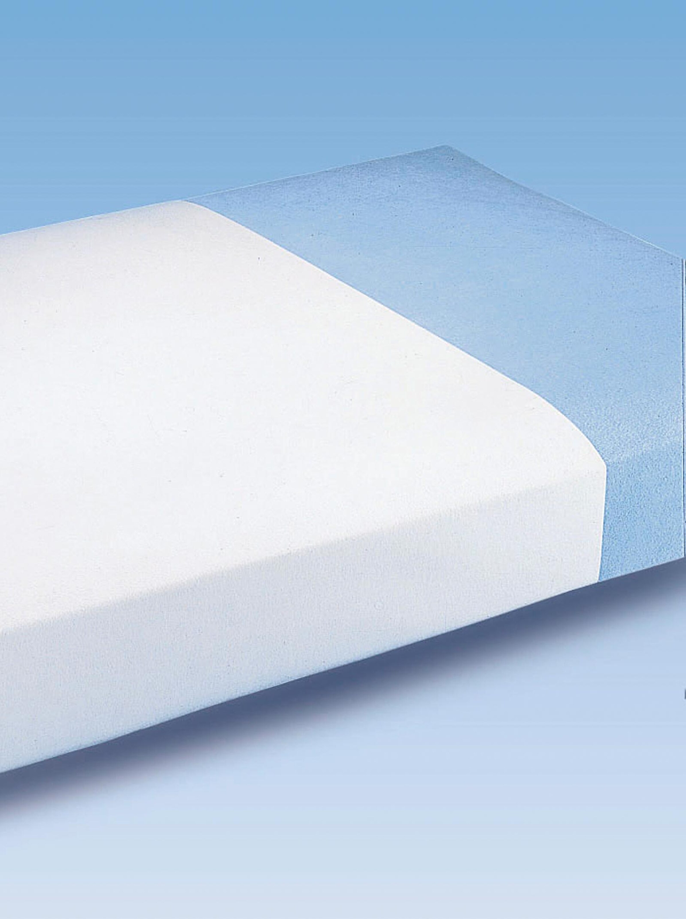 Inko-Tex-Betteinlage in weiß | WITT WEIDEN