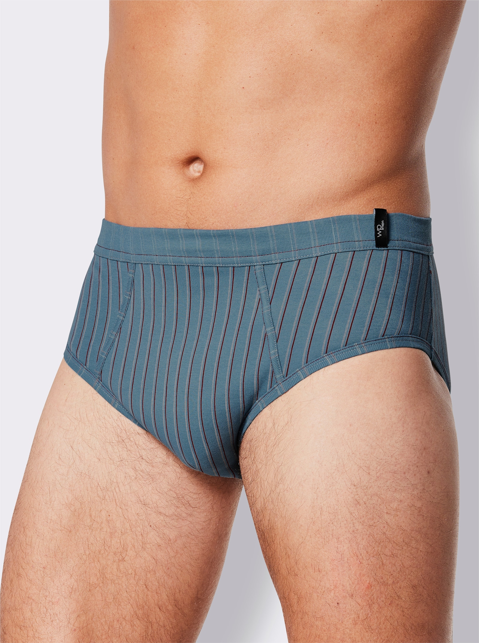 wäschepur men Slip - topaas/steengrijs gestreept