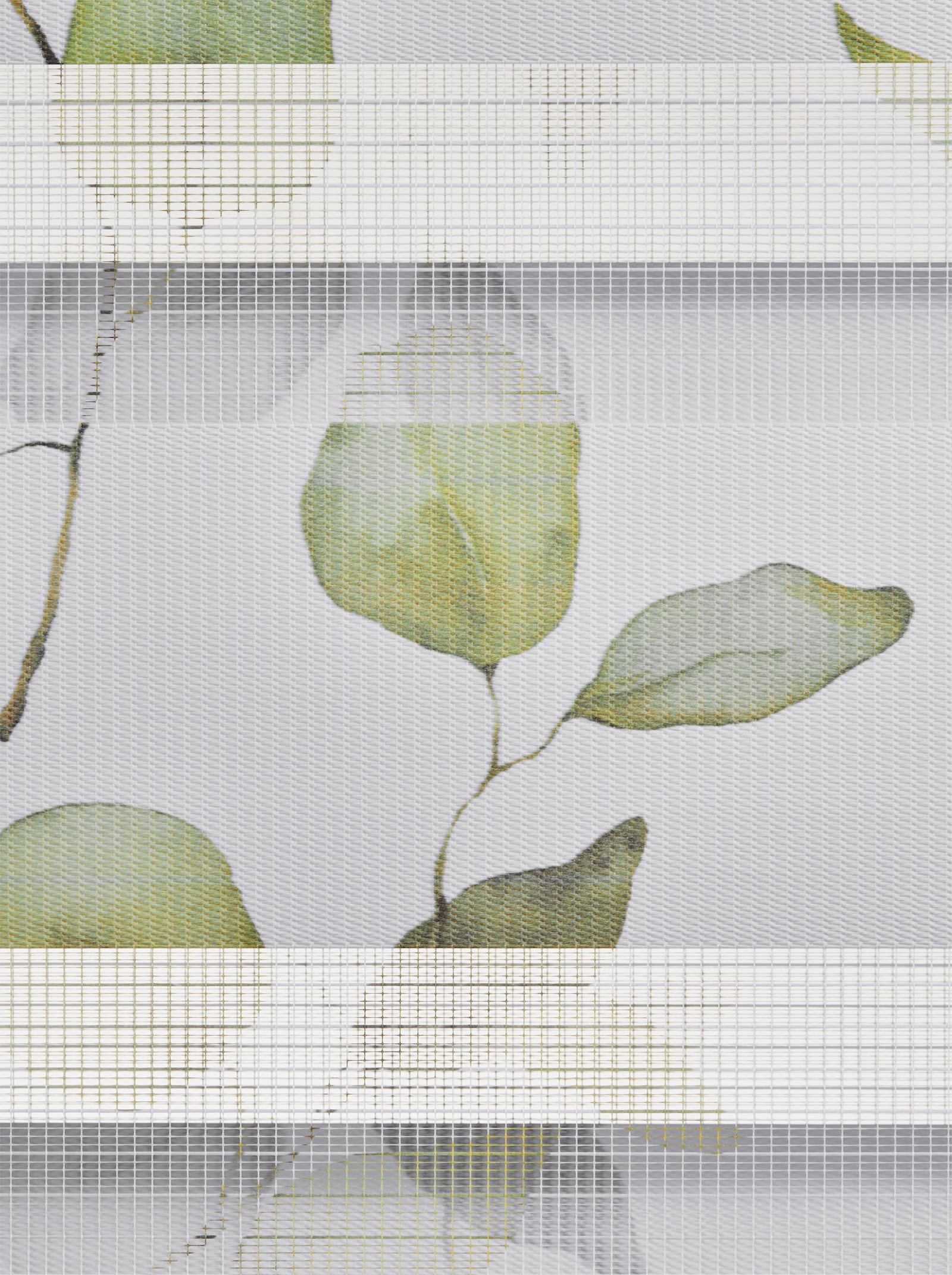 heine home Doppelrollo - weiß-grün