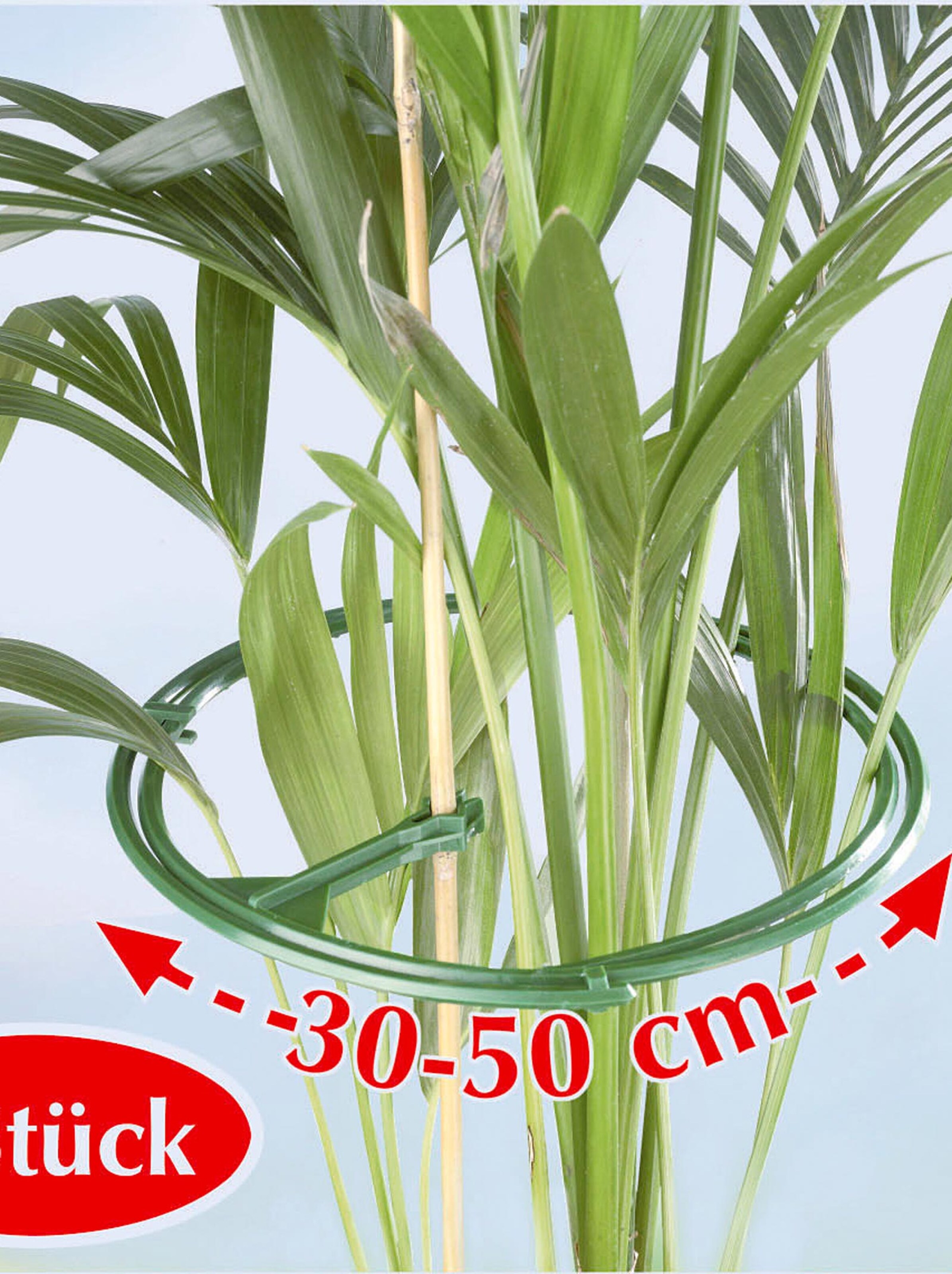 Staudenhalter - grün