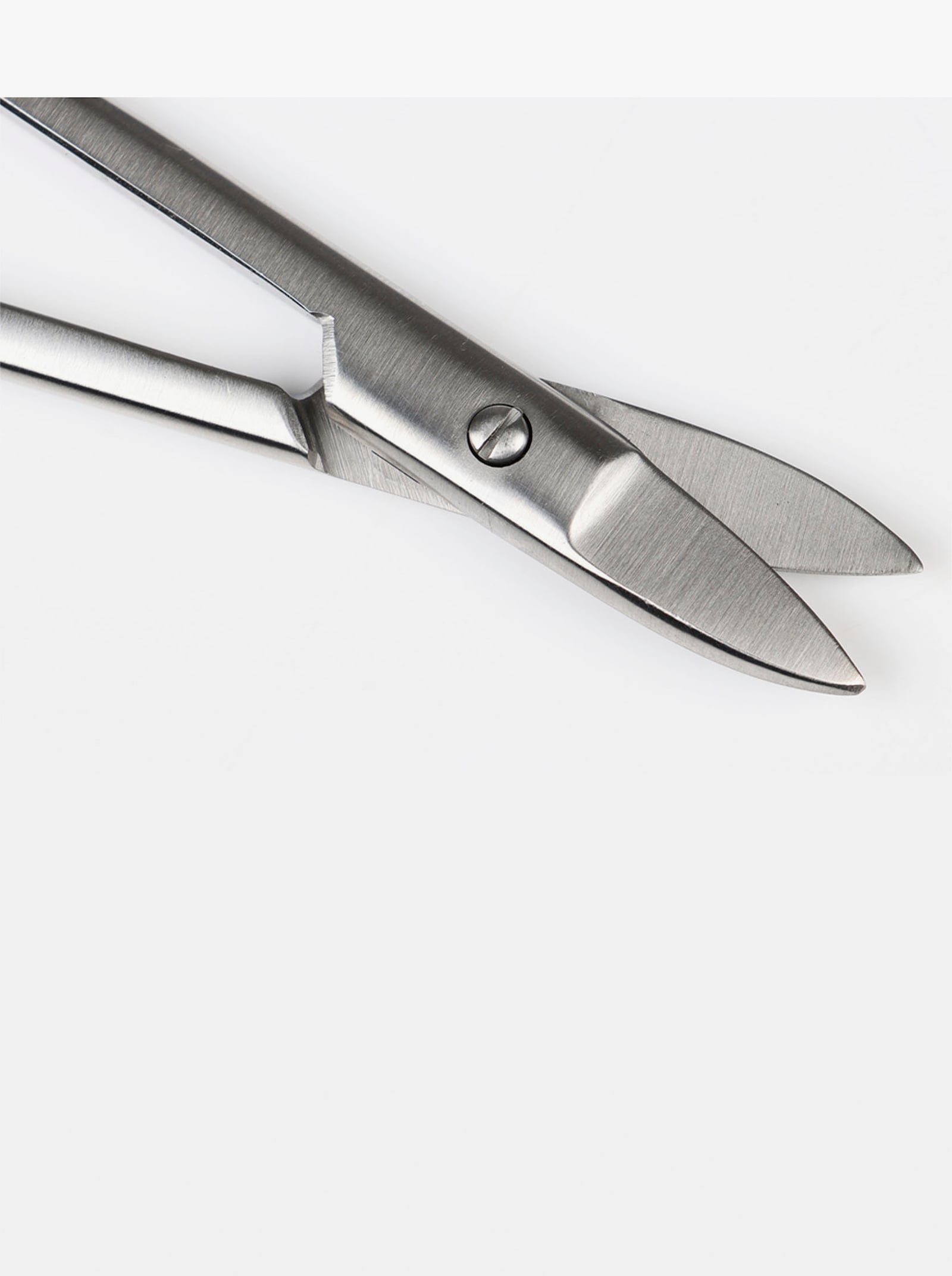 Nagelschaar - zilverkleur