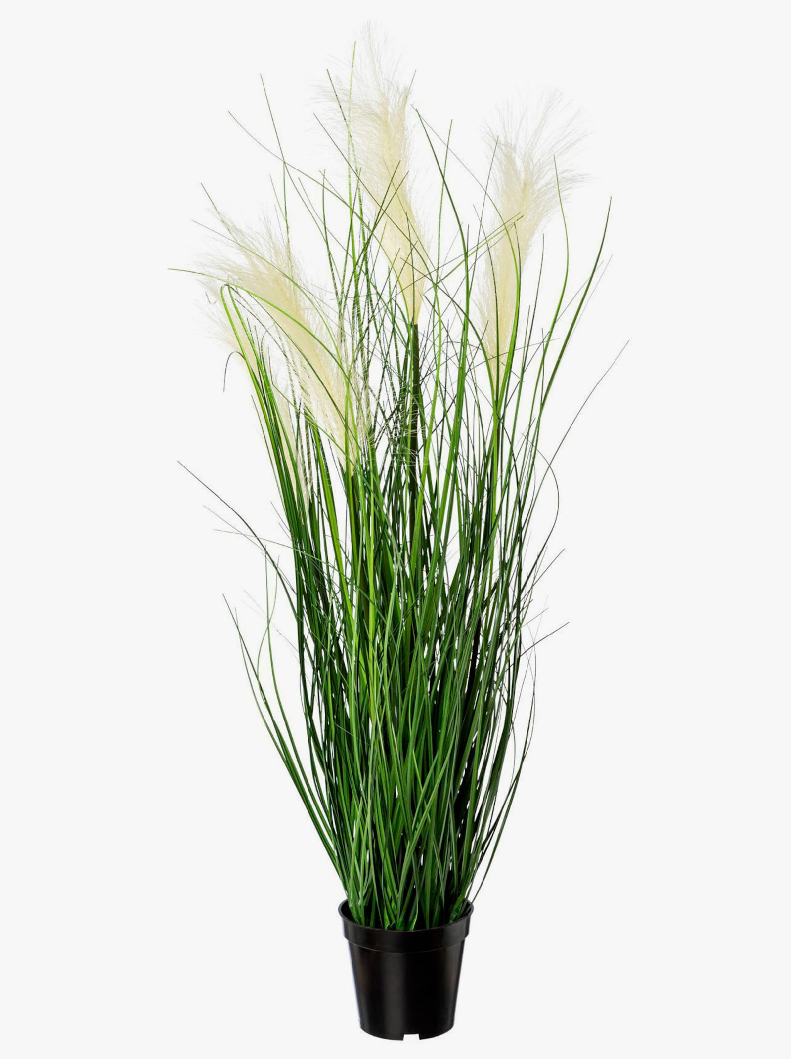 Gasper Kunstpflanze - creme-grün