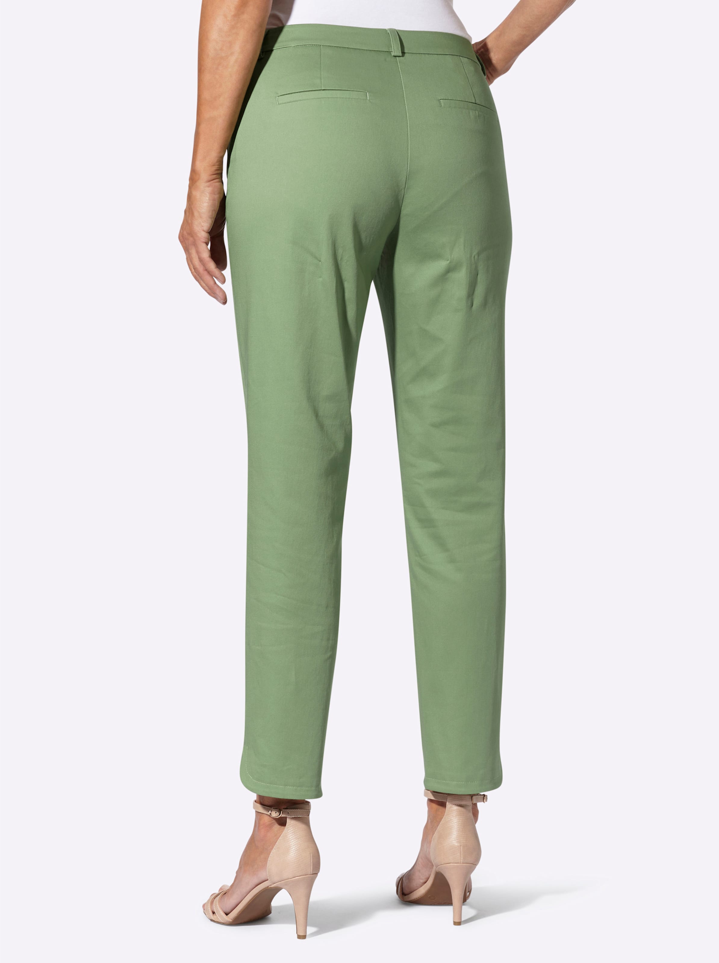 Hose