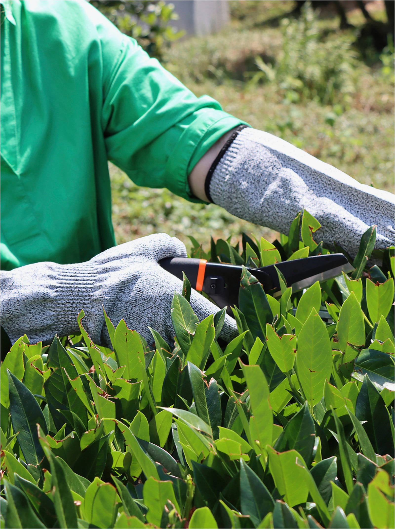 Handschuhe - hellgrau