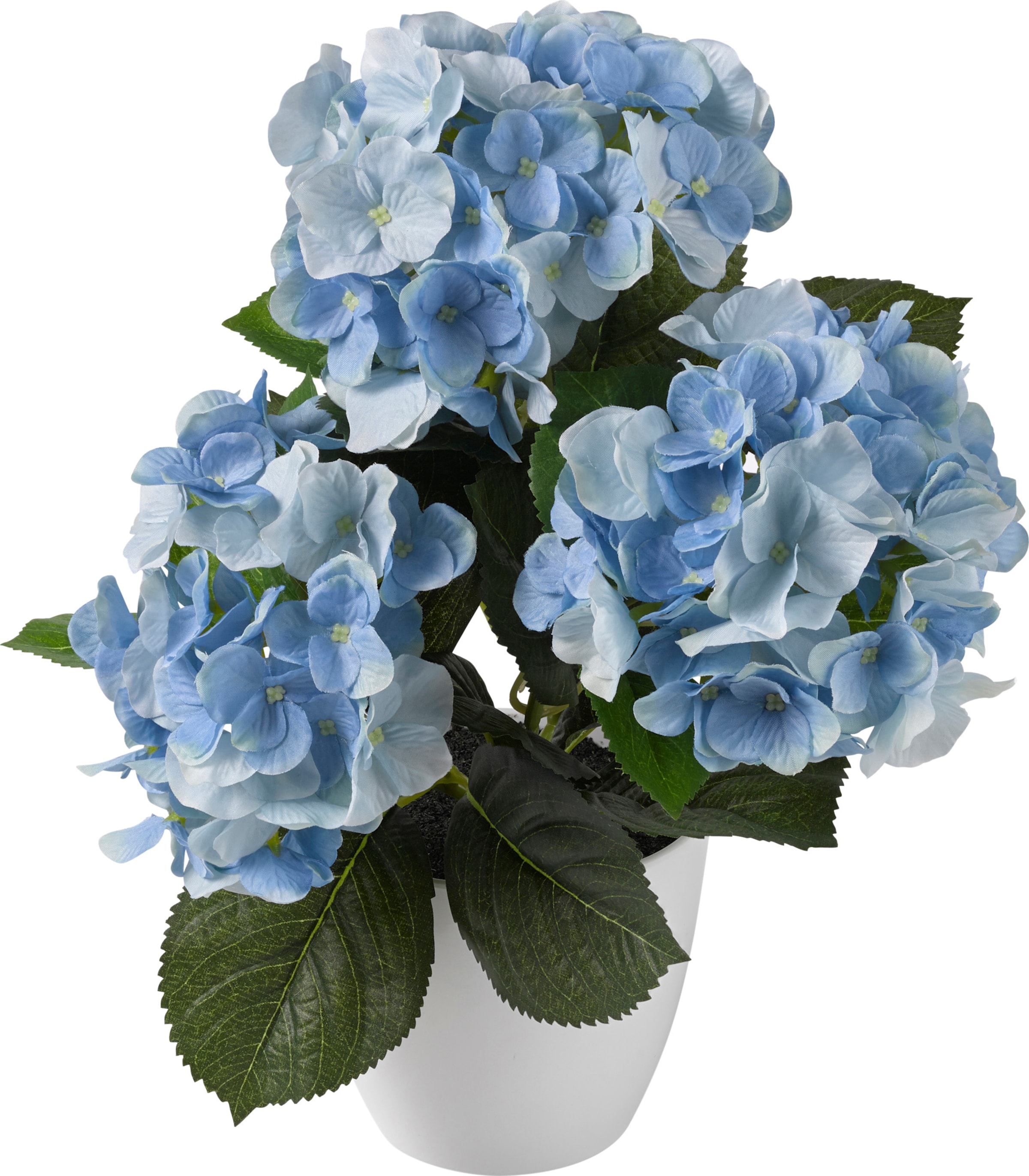 Individuell günstig Kaufen-Kunstpflanze in blau von Gasper. Kunstpflanze in blau von Gasper <![CDATA[Kunstpflanze Hortensie. Täuschend echt und garantiert pflegeleicht. Aus hochwertigem Kunststoff gefertigt und detailgetreu dem Original nachempfunden. Individuell zurechtbiegbar. F
