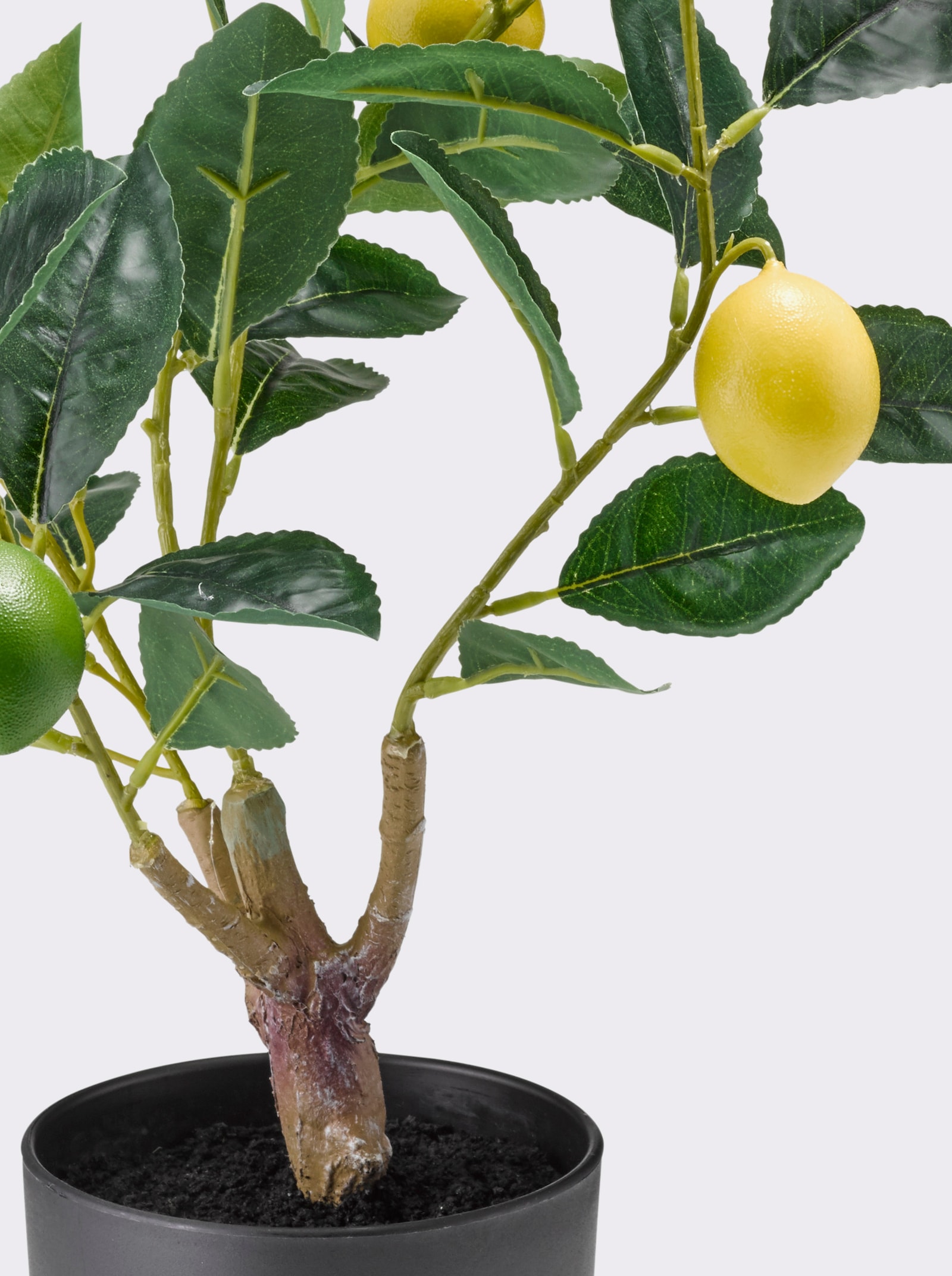 Gasper Kunstpflanze - grün-gelb