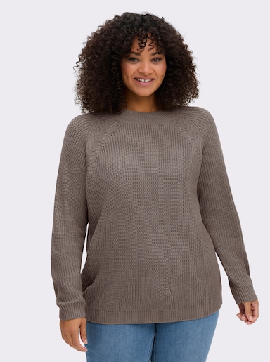 Stehkragenpullover mit Raglan-Ärmeln - taupe