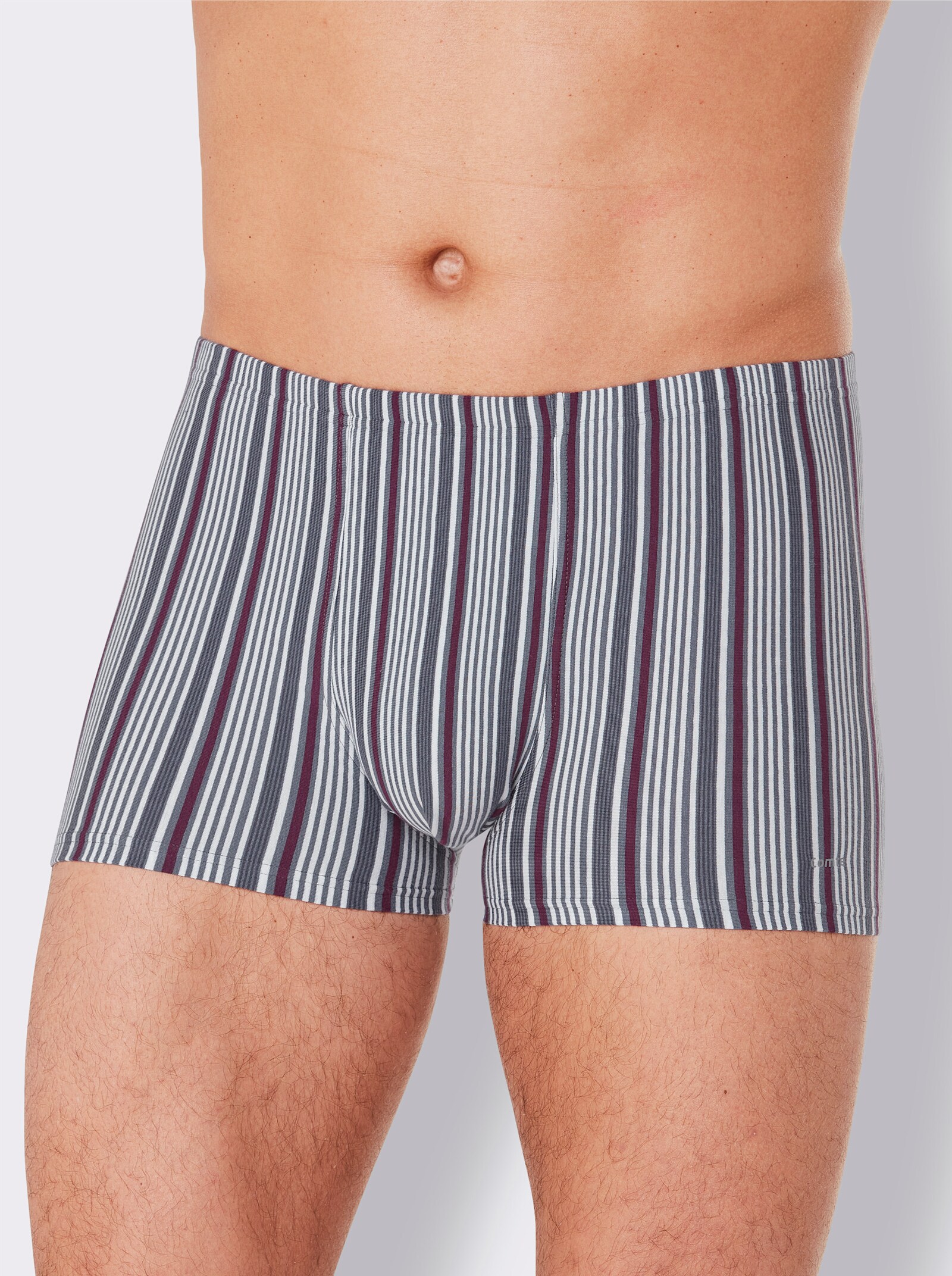 Comte Pants - grau-bordeaux-gestreift