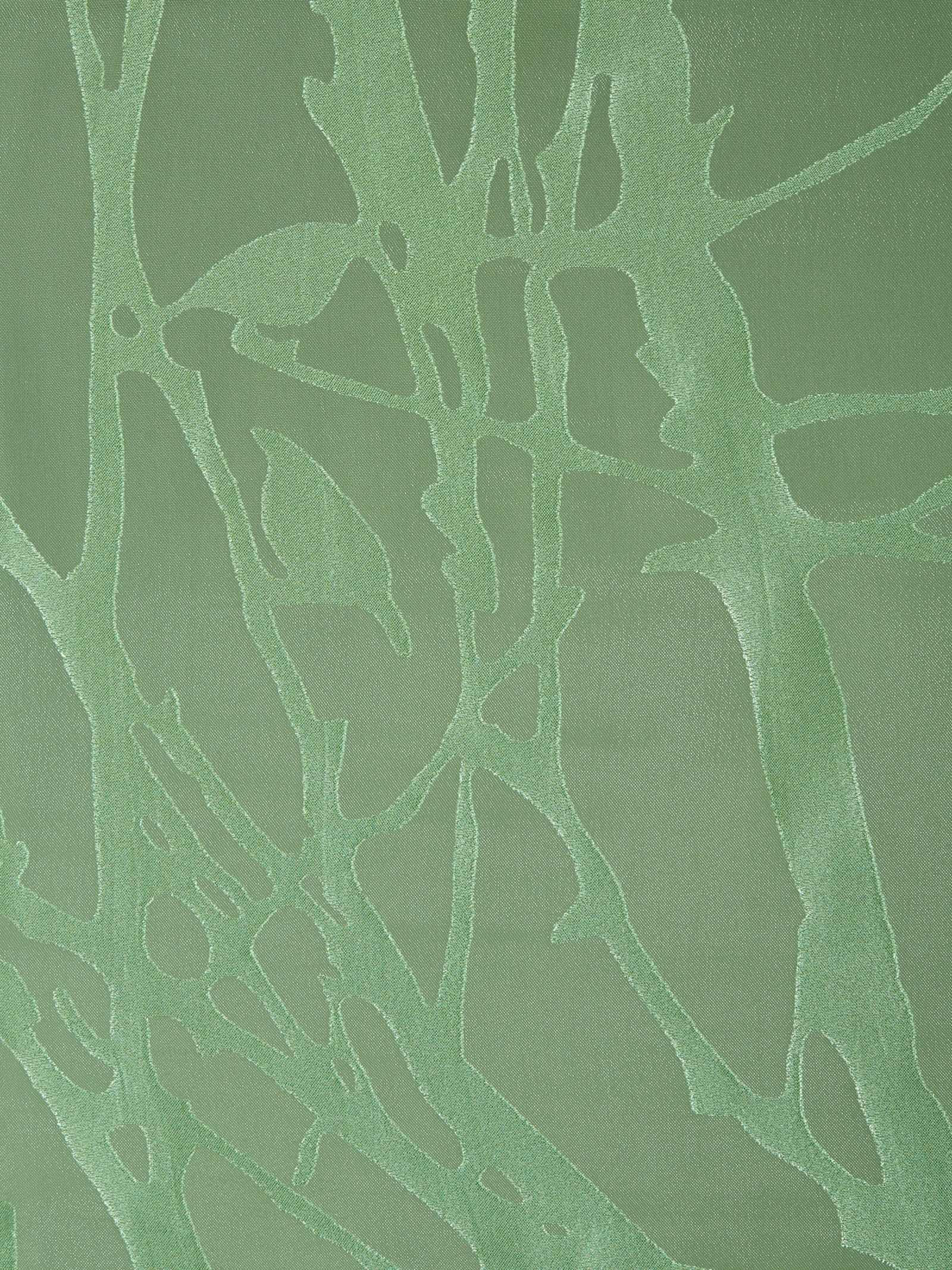 heine home Dekoratívna záclona - zelená