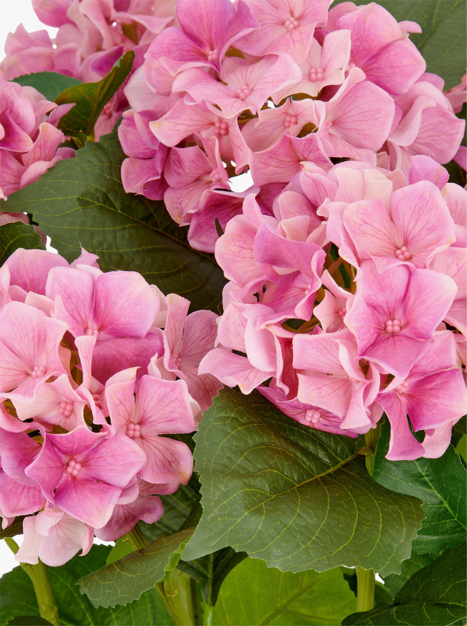 Gasper Kunstpflanze - pink