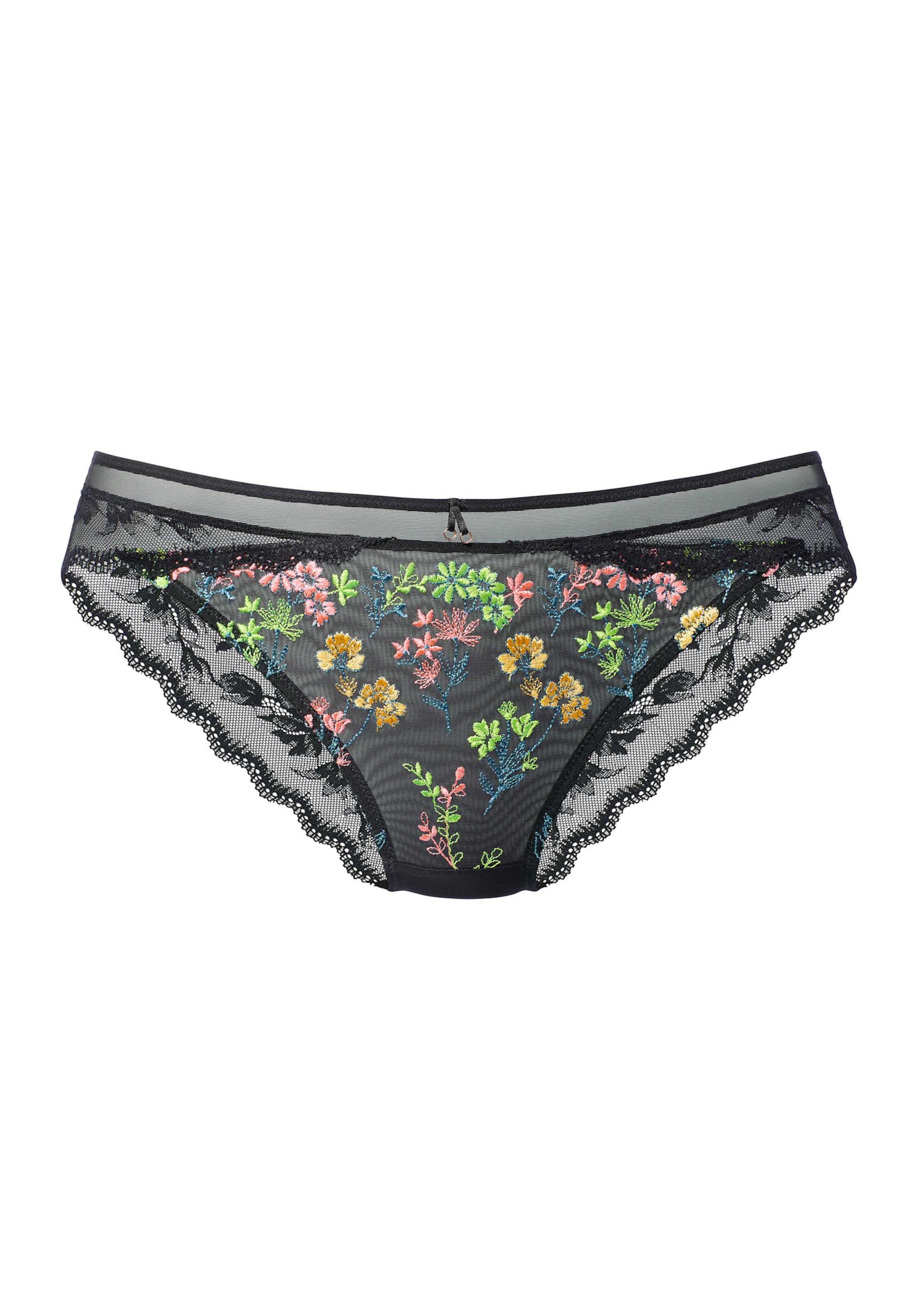 Panty