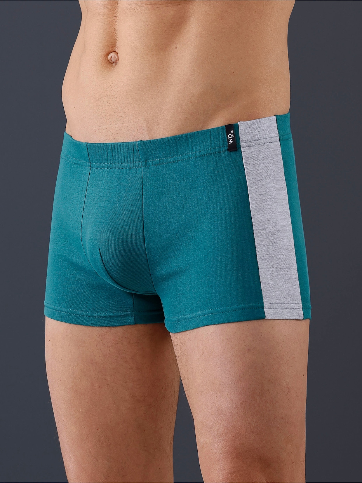 wäschepur men Broek - grijs gemêleerd/aquapetrol
