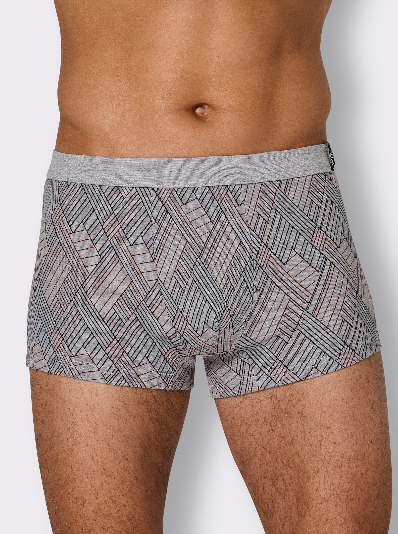 wäschepur men Boxerky - šedá-melír-různé barvy