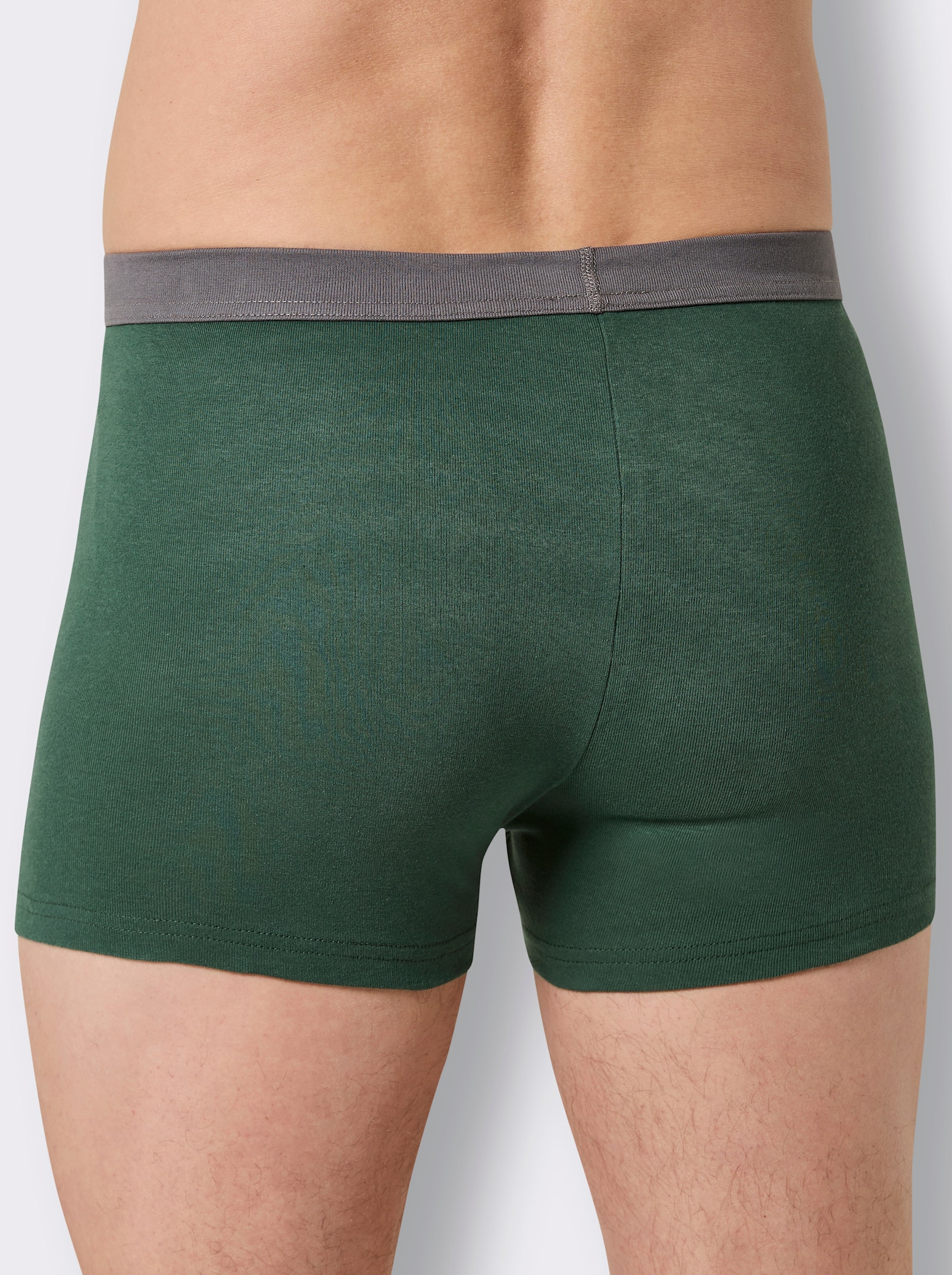 wäschepur men Hose kurz - anthrazit + moos