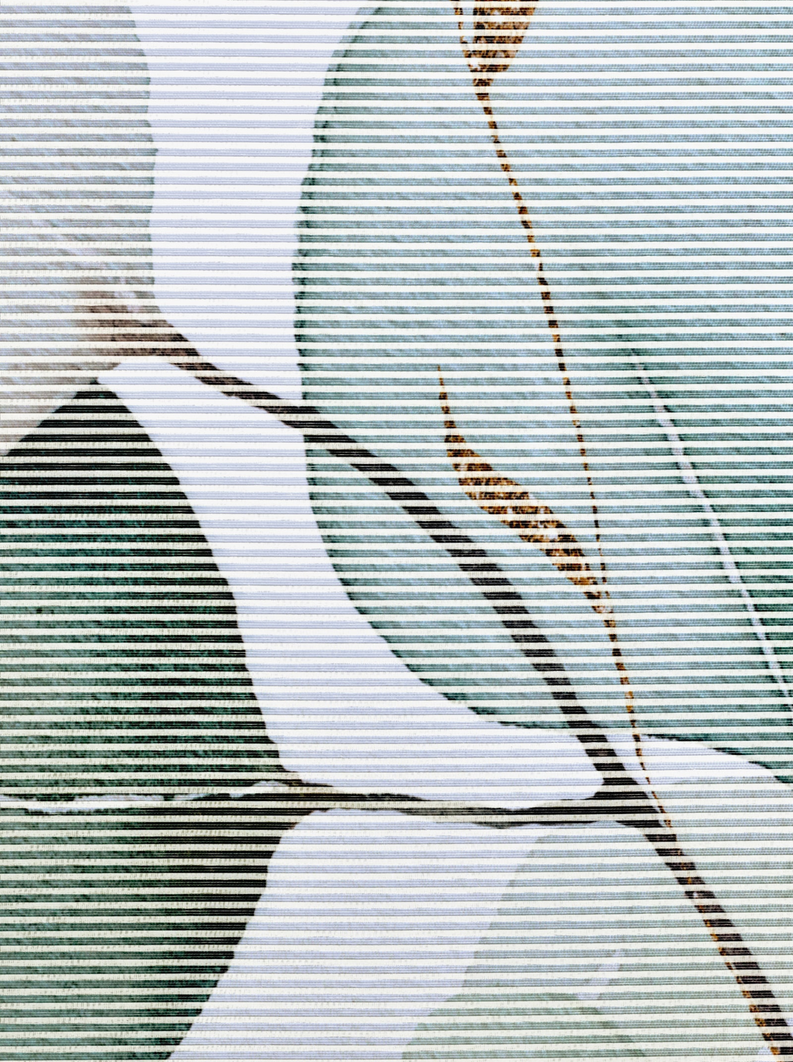 heine home schuifgordijn - wit geprint