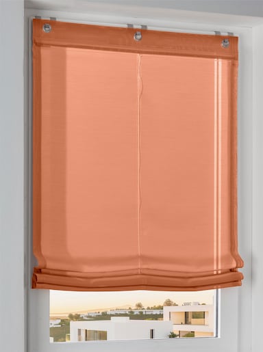 heine home Raffrollo - terra