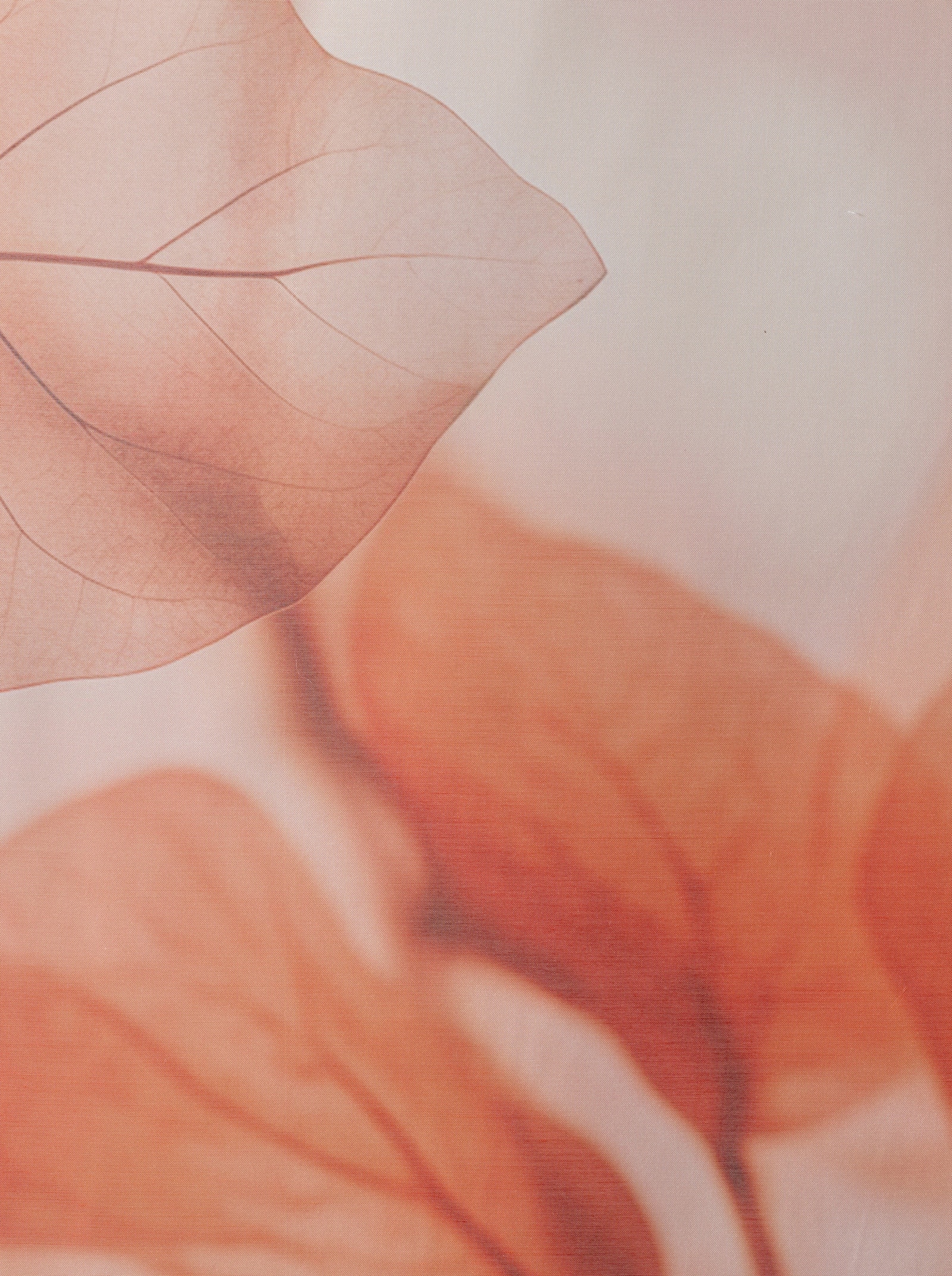 Impressionen Schiebevorhang - natur-terra