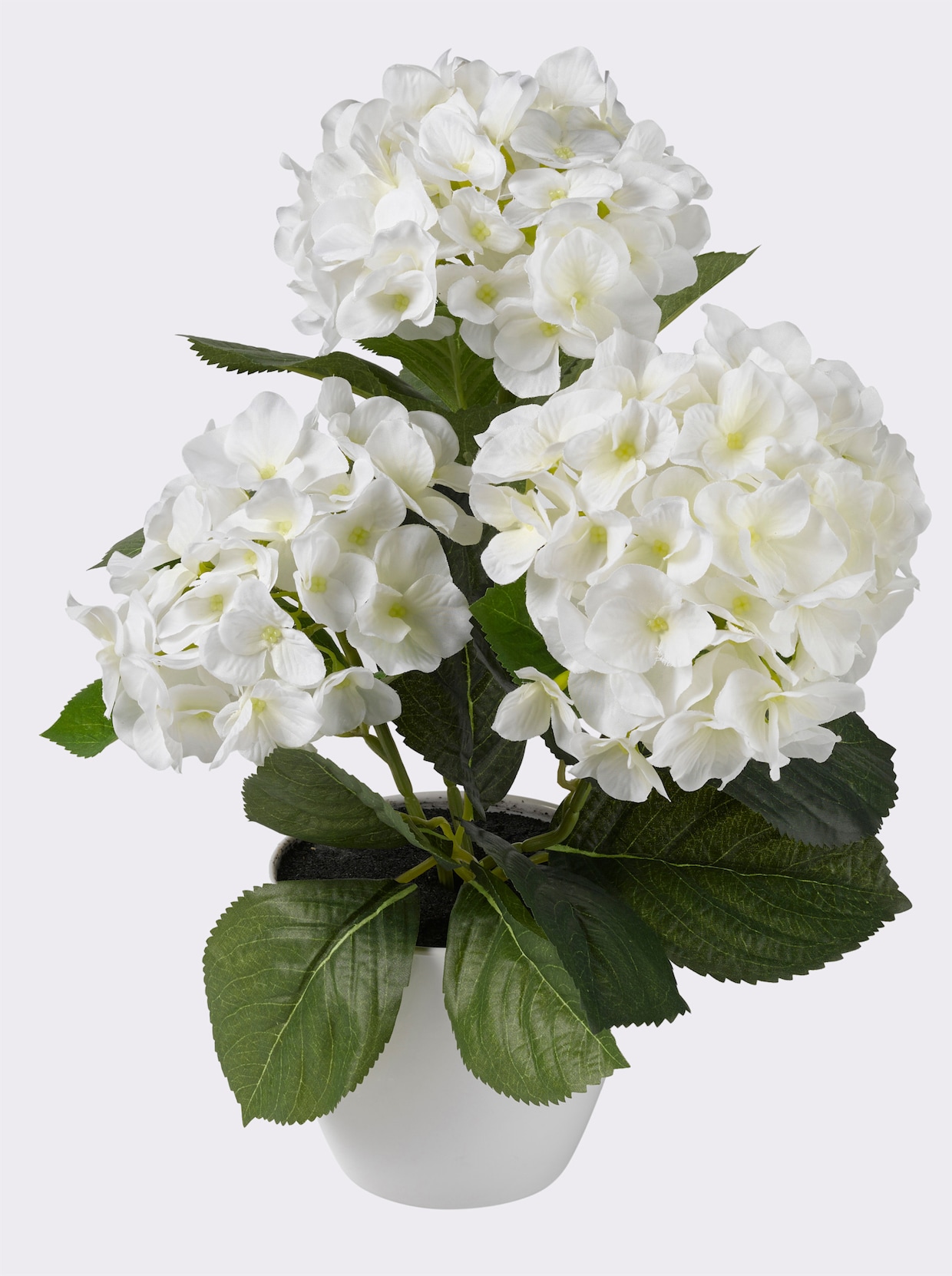Gasper Kunstpflanze - weiß