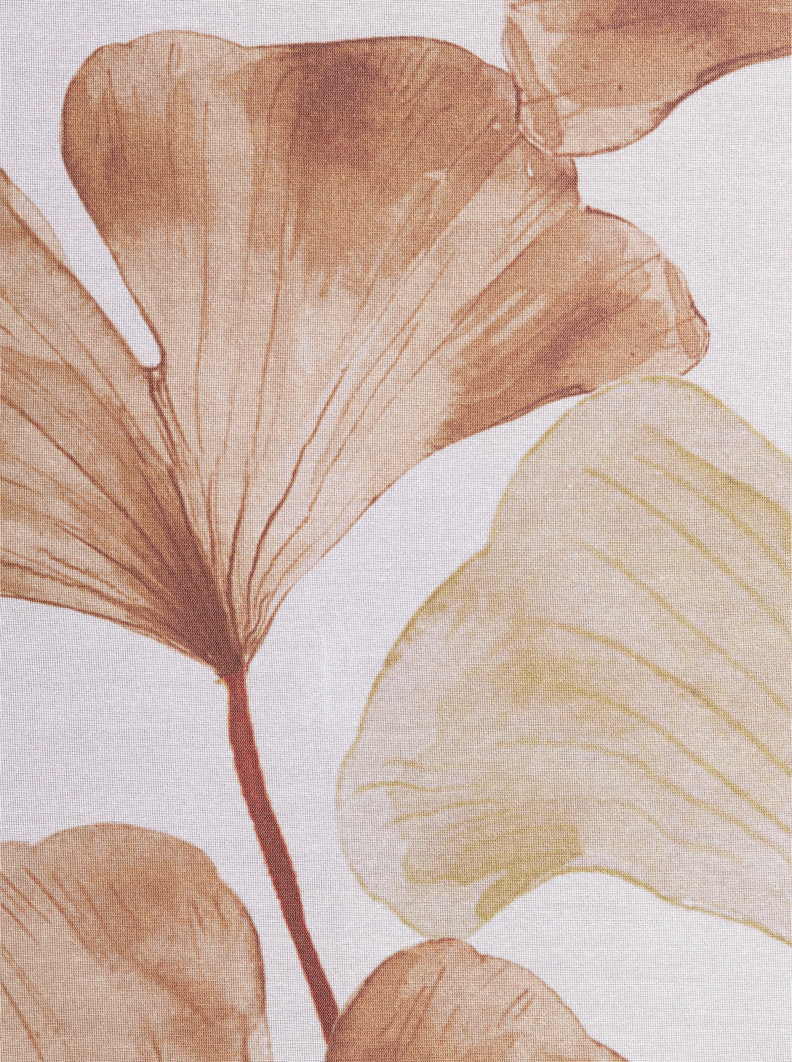 heine home Dekostore - weiss-braun