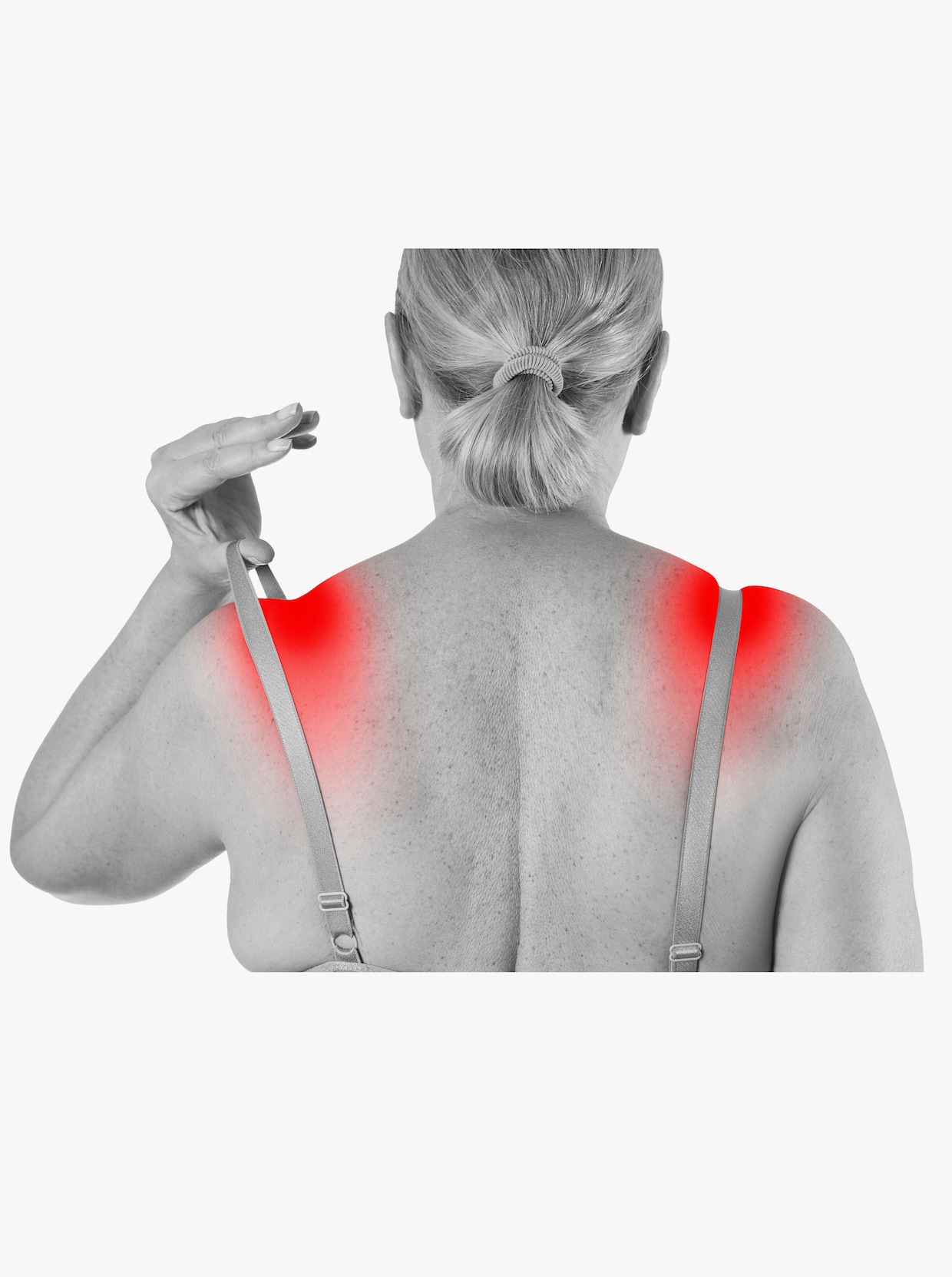 BH-Trägerpolster - mehrfarbig