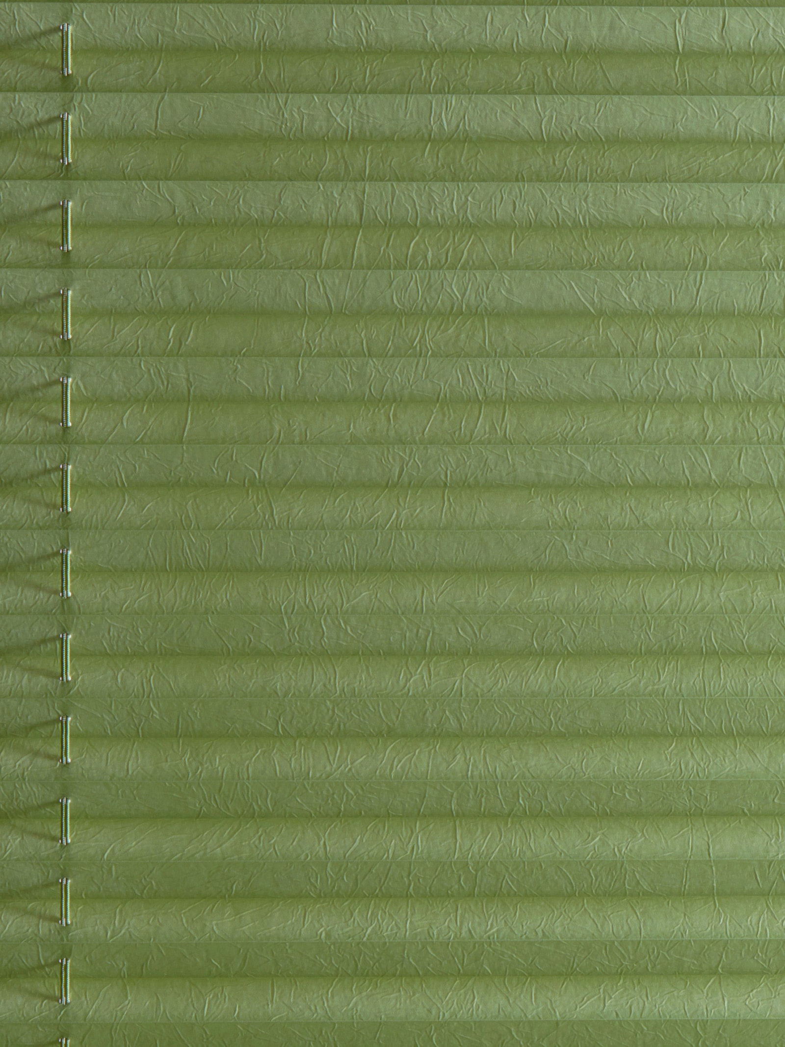 heine home Plissee-Jalousie - lindgrün