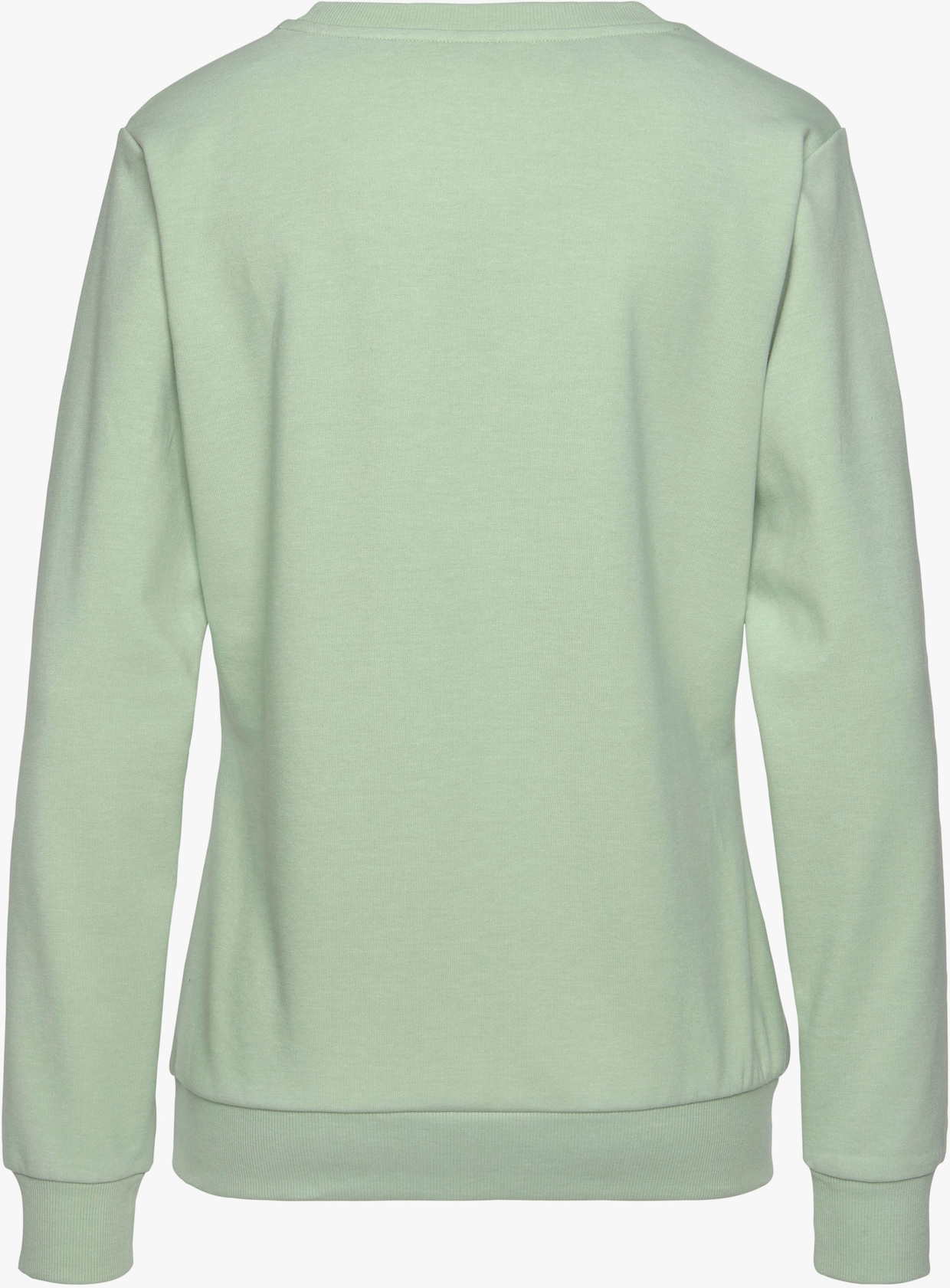 Bench. Sweatshirt - mint