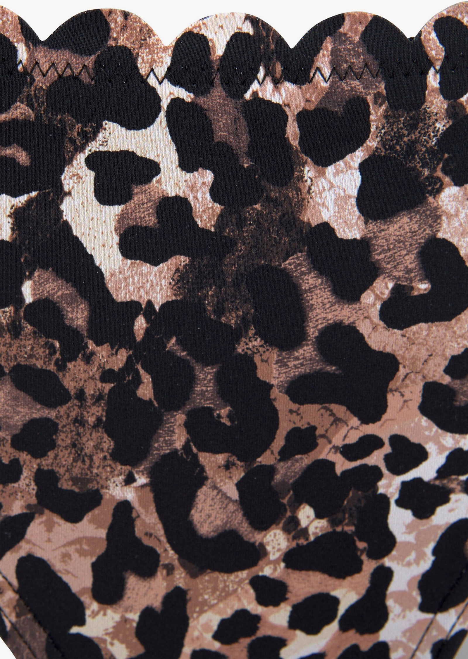 LASCANA Bikinibroekje - bruin geprint