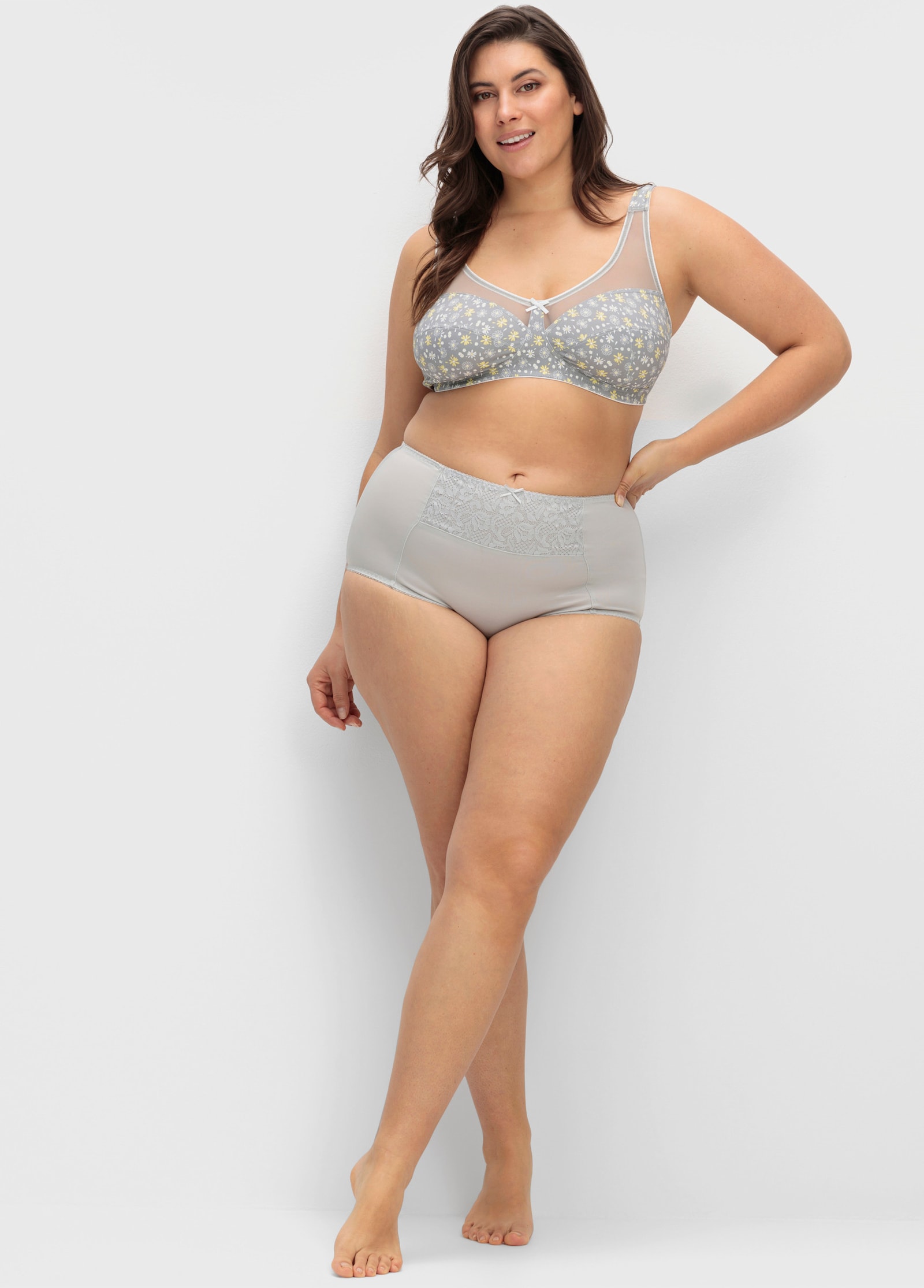 wäschepur Miederslip mit Spitzeneinsatz vorne - silberfarben