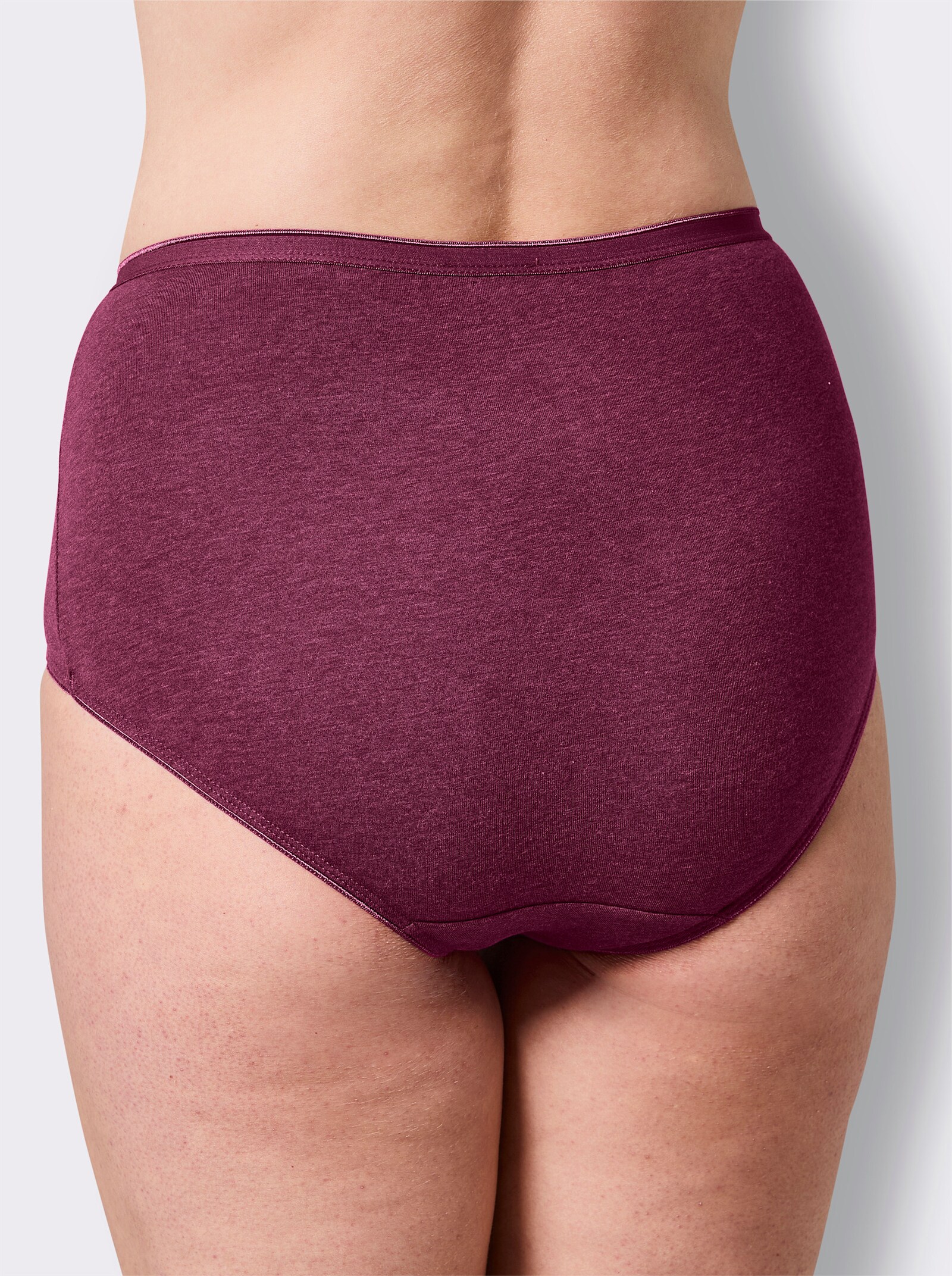 wäschepur Taillenslip - 2x malve-meliert + 2x marine-meliert