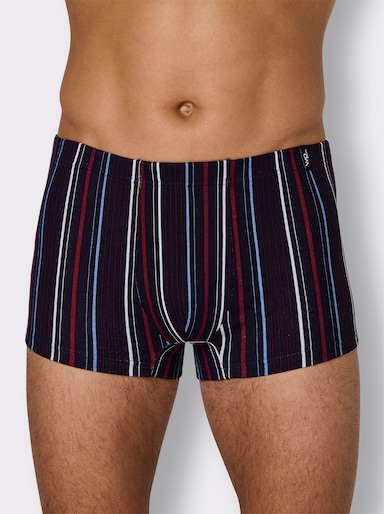 wäschepur men Pants - marine + marine-gestreift