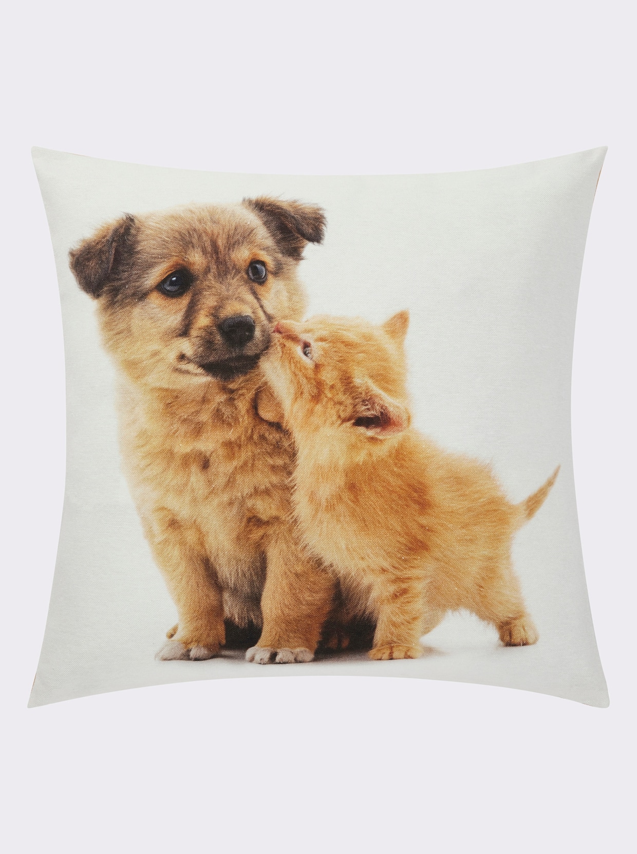 Housse de coussin - Chien + chat