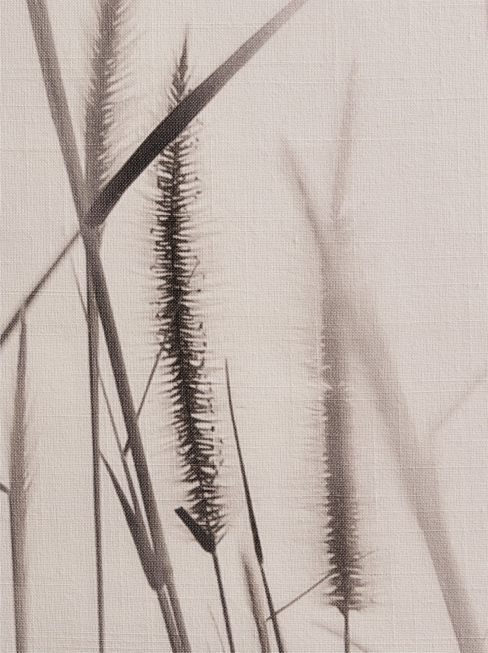 heine home Dekoschal - offwhite-braun